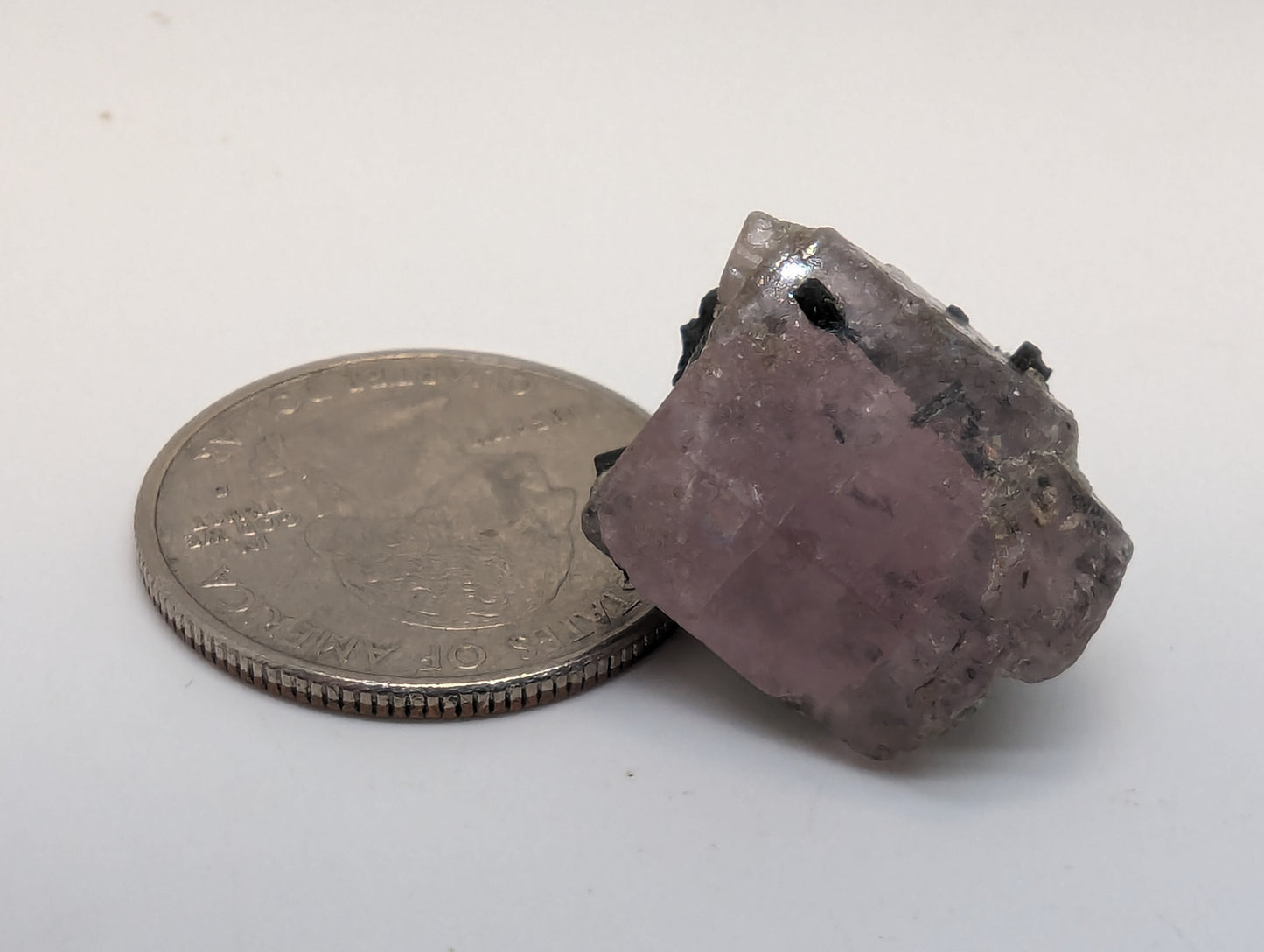 Pink Apatite w/ Schorl(Black Tourmaline) - Thumbnail Specimen - 38.20cts(7.64g)