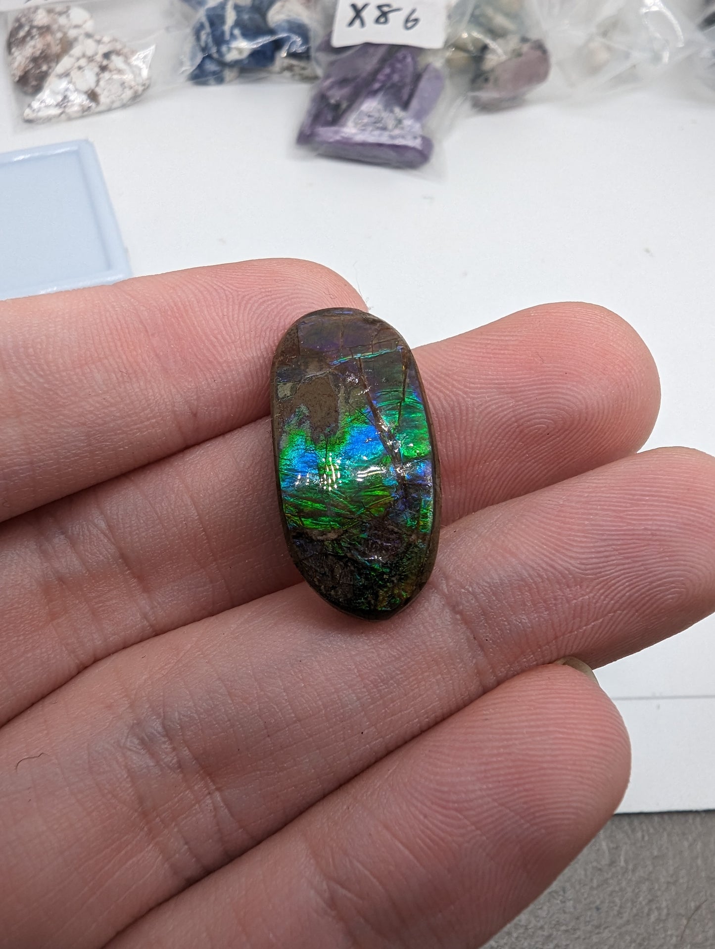 Ammolite Oval Cabochon - 19.75cts(3.95g) - Bright green flash