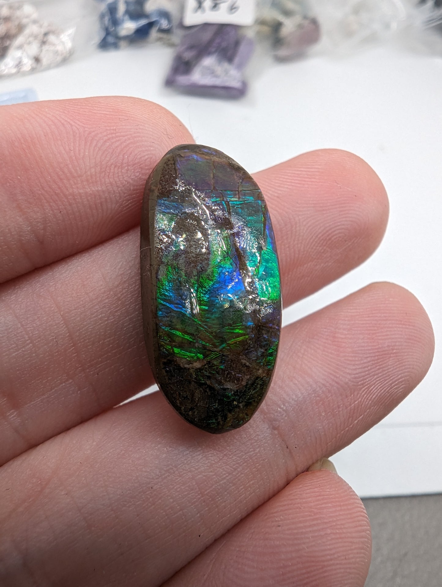 Ammolite Oval Cabochon - 19.75cts(3.95g) - Bright green flash