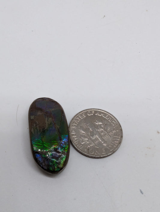 Ammolite Oval Cabochon - 19.75cts(3.95g) - Bright green flash