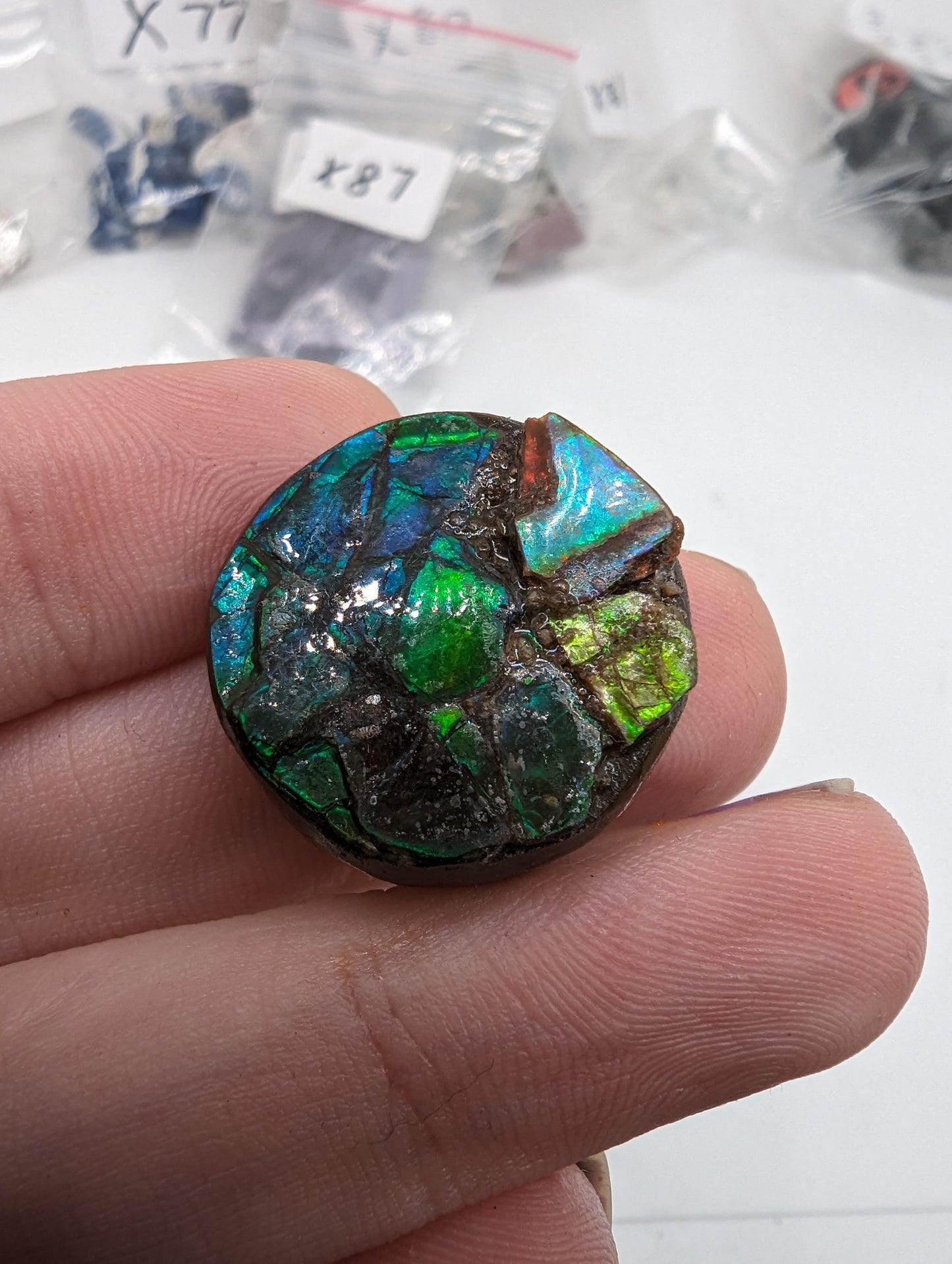 Ammolite Round Cabochon - 42.65cts(8.53g) - 21mm