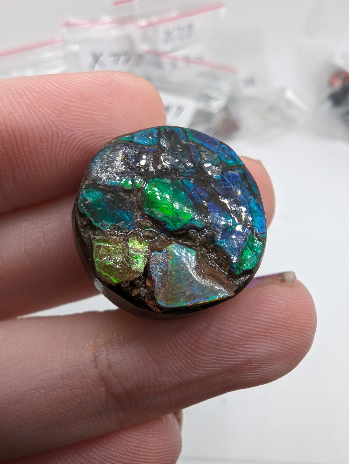 Ammolite Round Cabochon - 42.65cts(8.53g) - 21mm