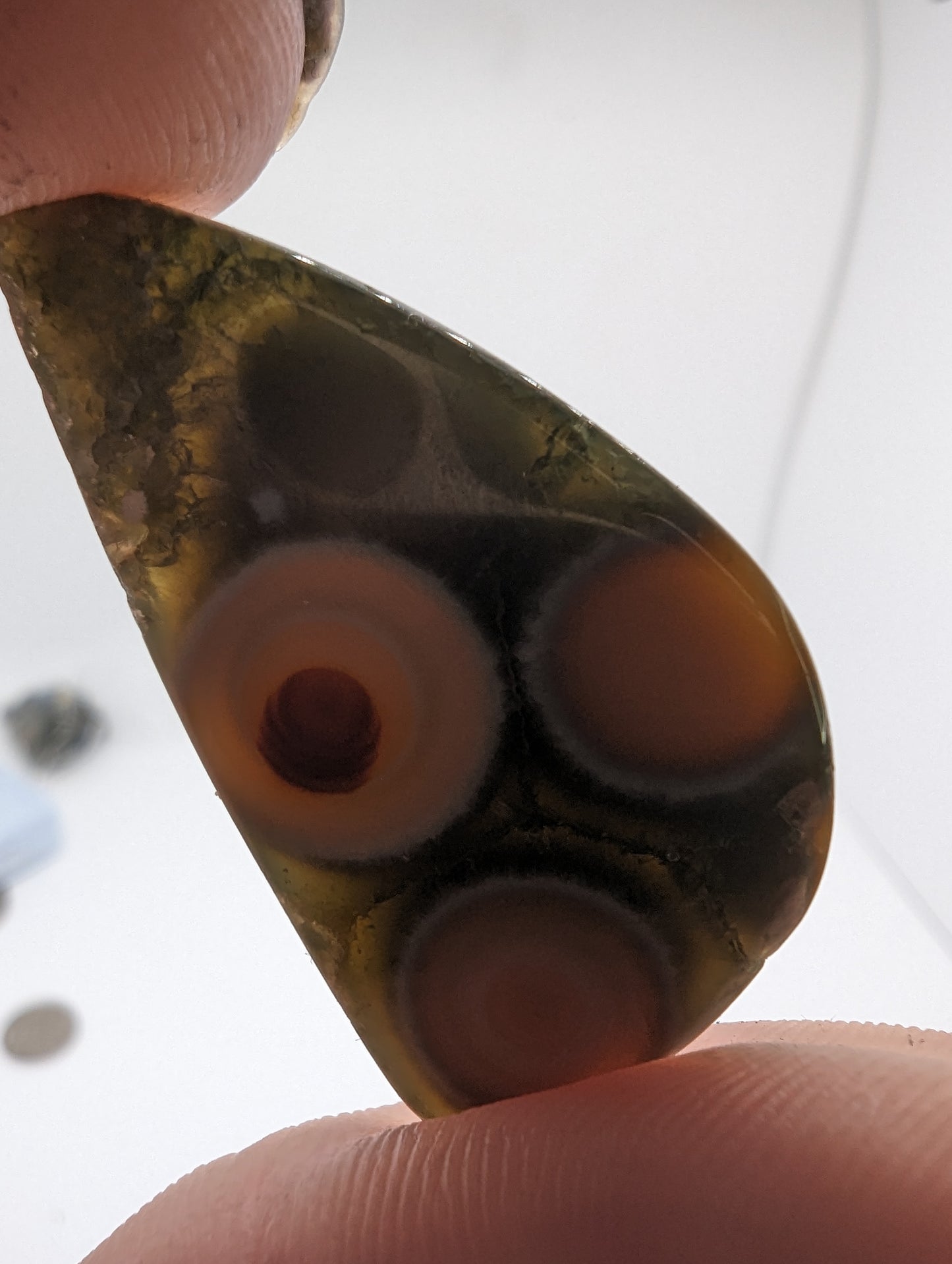 Ocean Jasper Cabochon with Bullseyes - 31.50cts(6.30g)