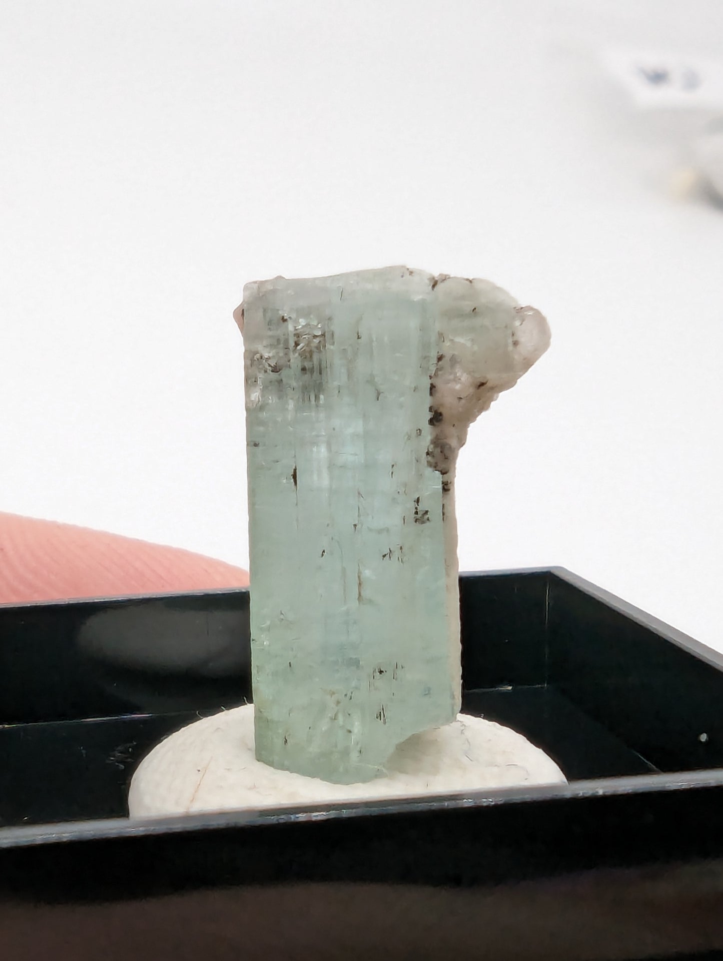 Aquamarine Crystal in Thumbnail Display Case - 7.7cts(1.54g)