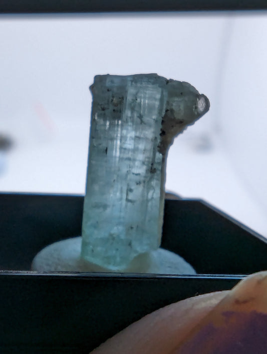 Aquamarine Crystal in Thumbnail Display Case - 7.7cts(1.54g)