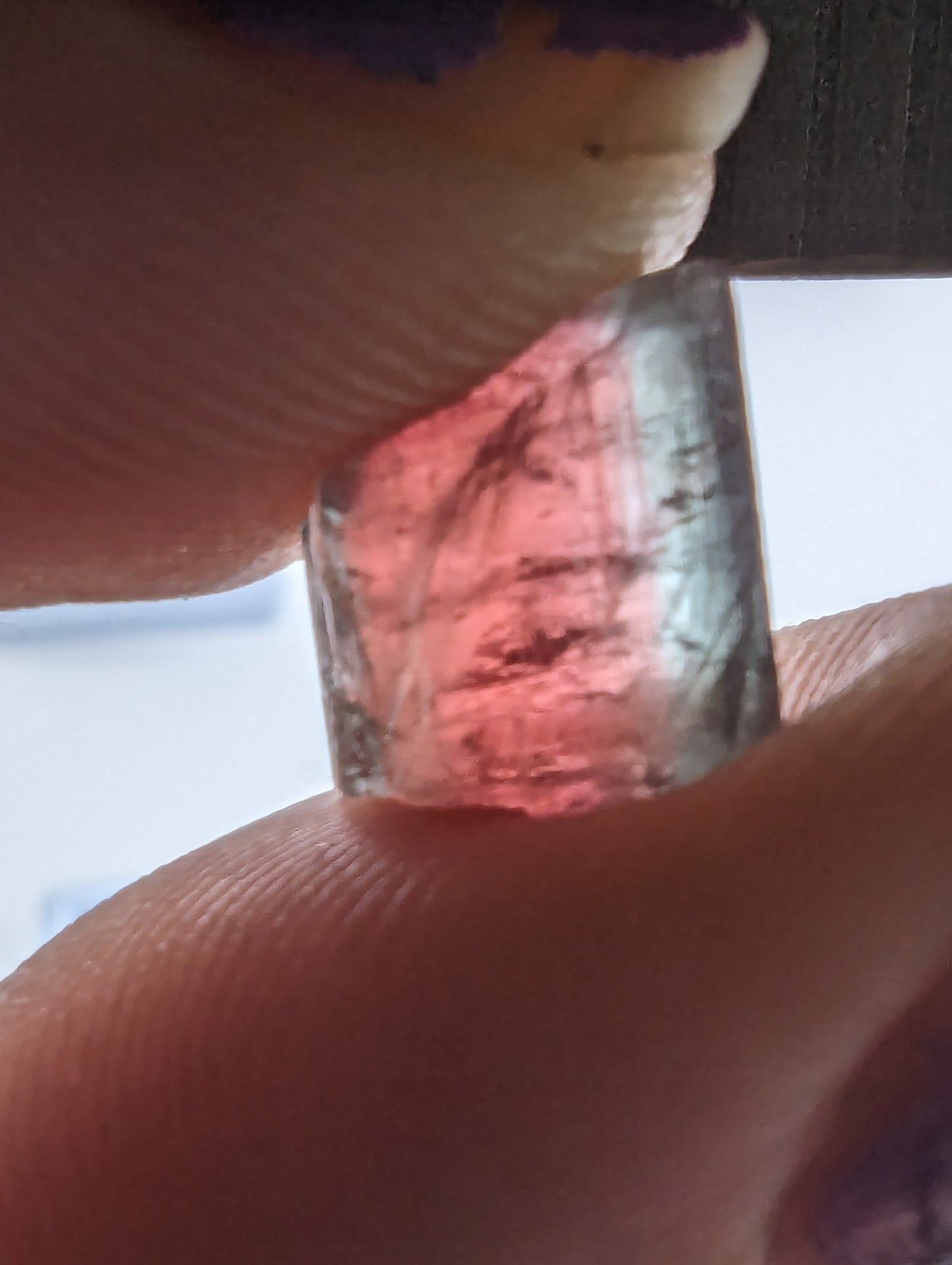 Pink Tourmaline Variety Lot - 22.60cts(4.52g)