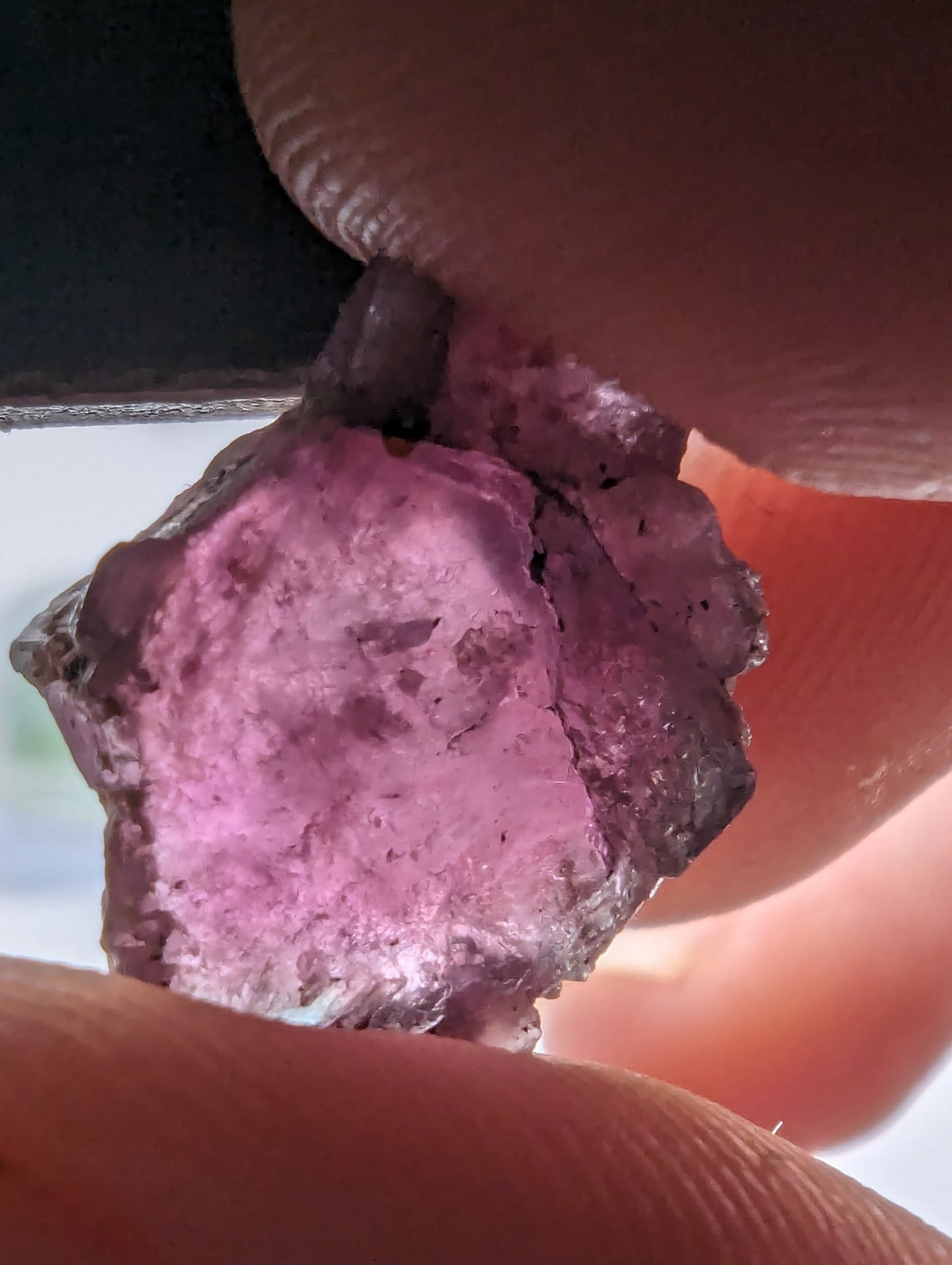 Pink Tourmaline Variety Lot - 22.60cts(4.52g)