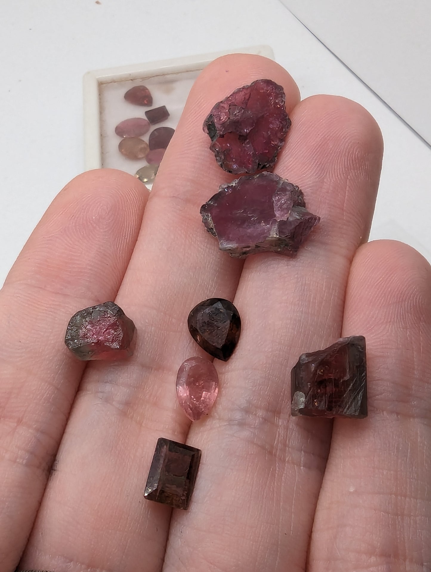 Pink Tourmaline Variety Lot - 22.60cts(4.52g)