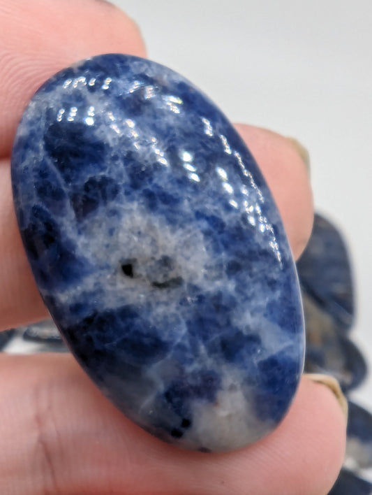 Sodalite Cabochons - 20pcs - 628.95cts(125.79g)