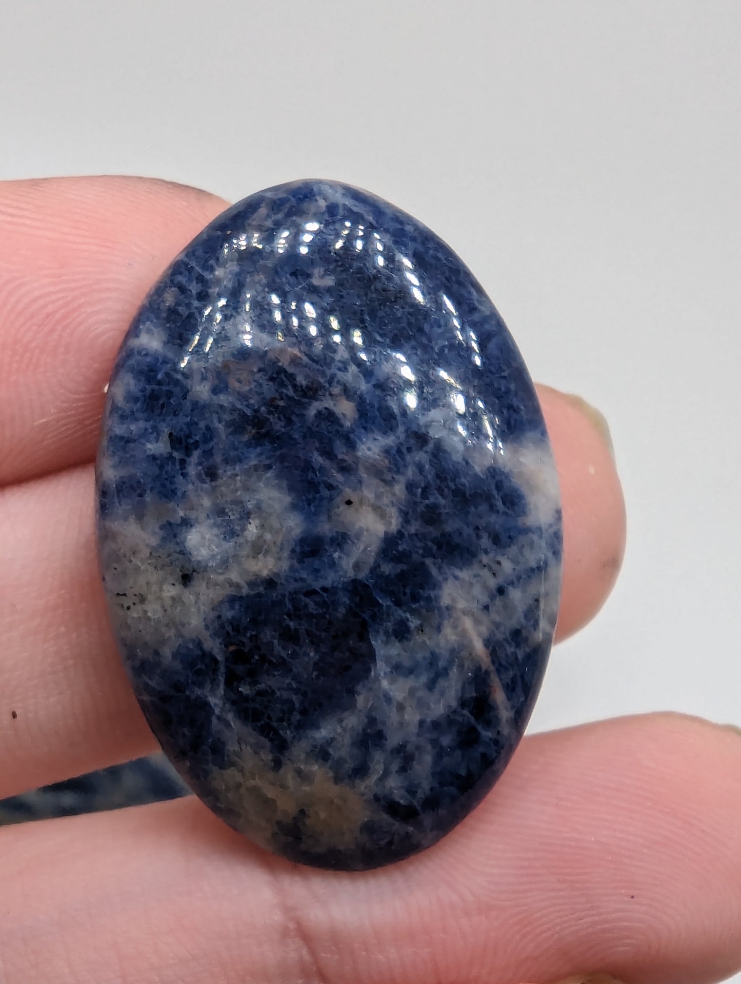 Sodalite Cabochons - 20pcs - 628.95cts(125.79g)