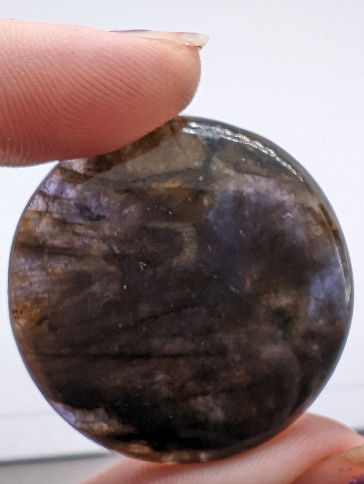 Bloodshot Iolite Sunstone - Large Round Cab - 74.75cts(14.95g)