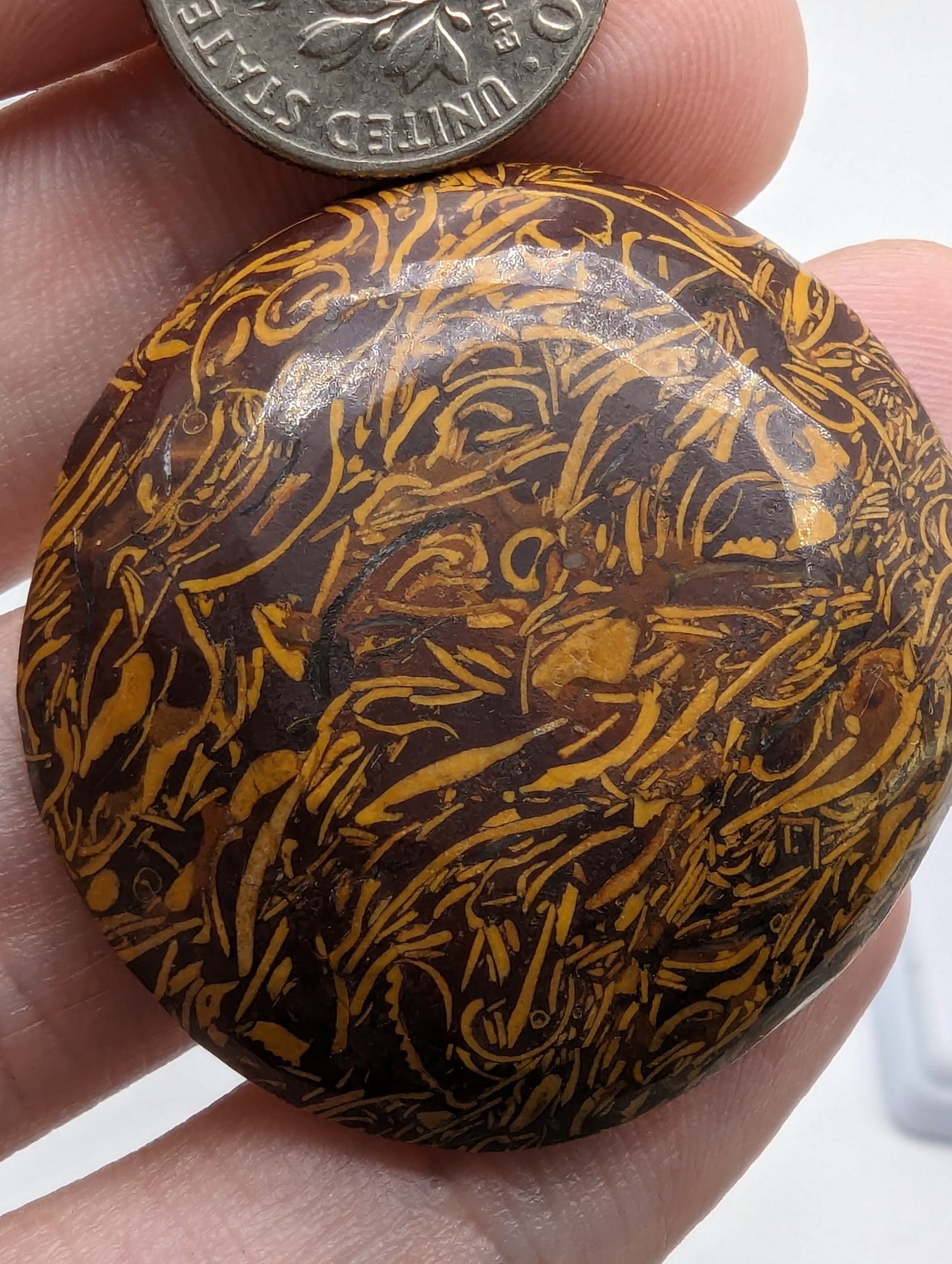 Calligraphy Jasper - 
71.80cts(14.37g) - 36mm