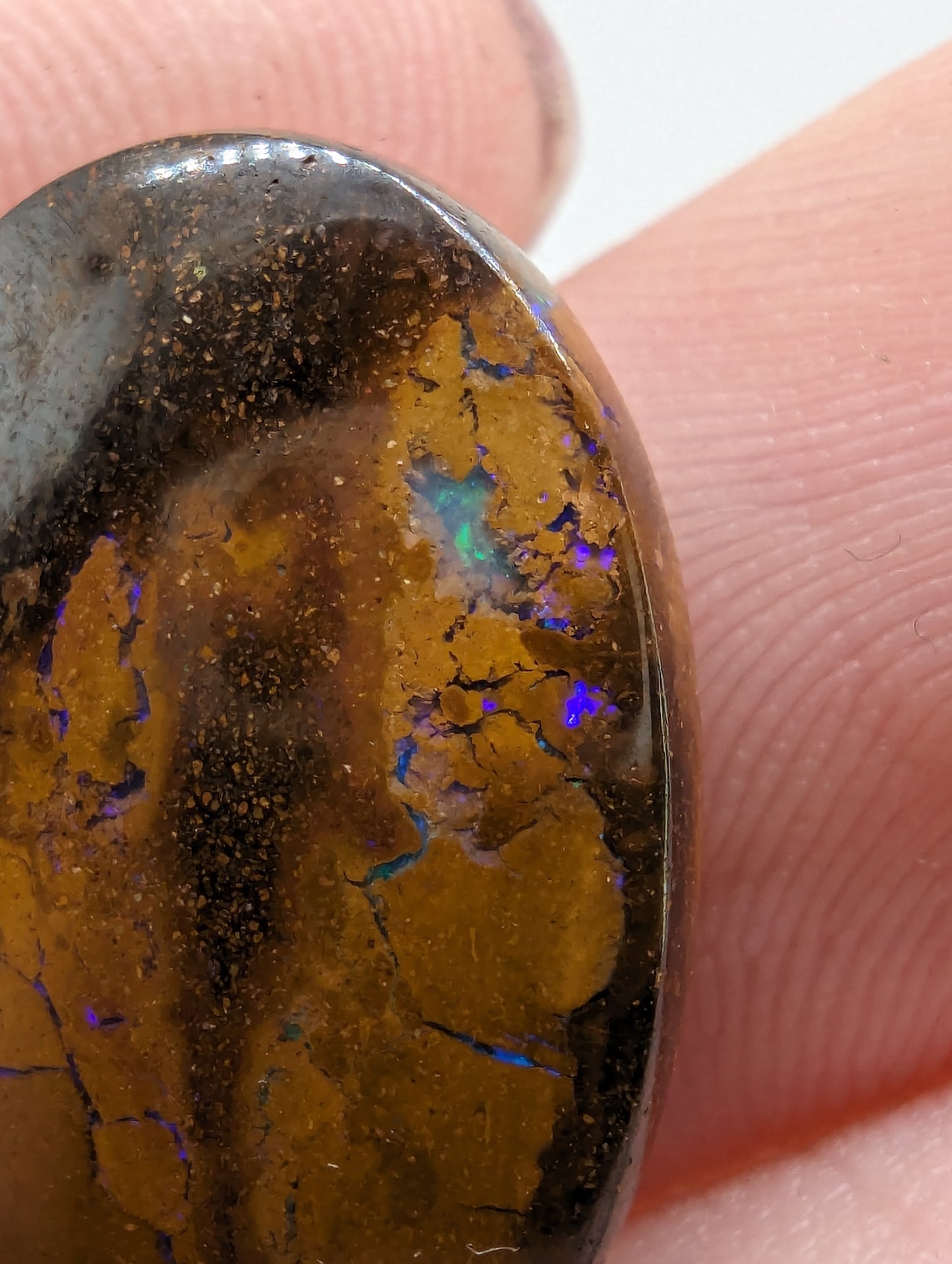 Koroit Boulder Opal - 13.60cts(2.70g) - 
23mm