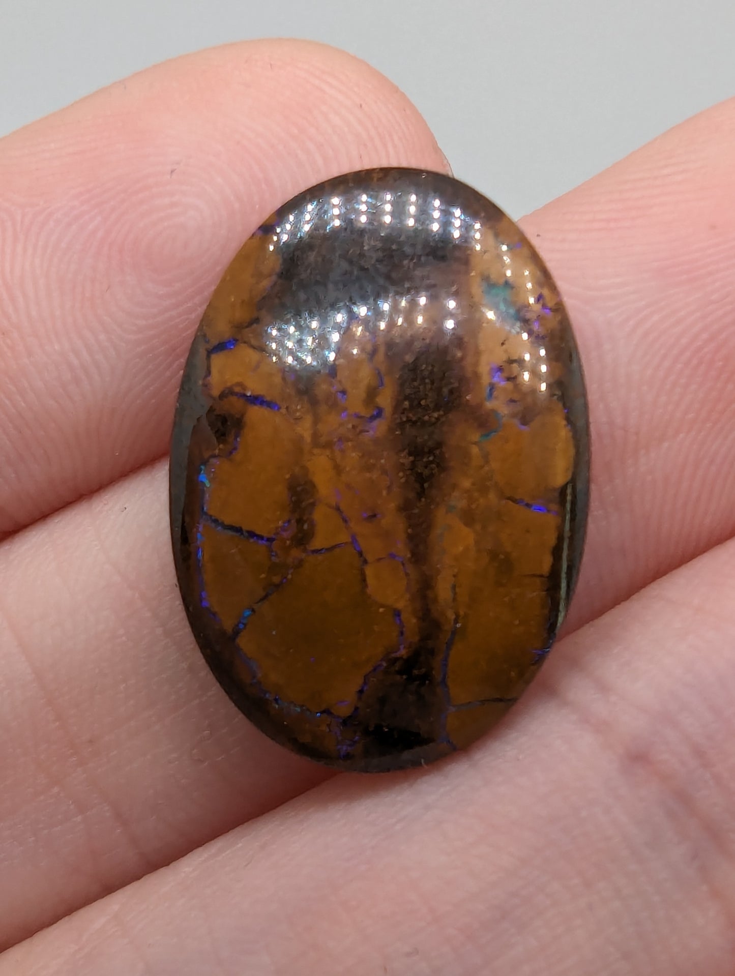 Koroit Boulder Opal - 13.60cts(2.70g) - 
23mm