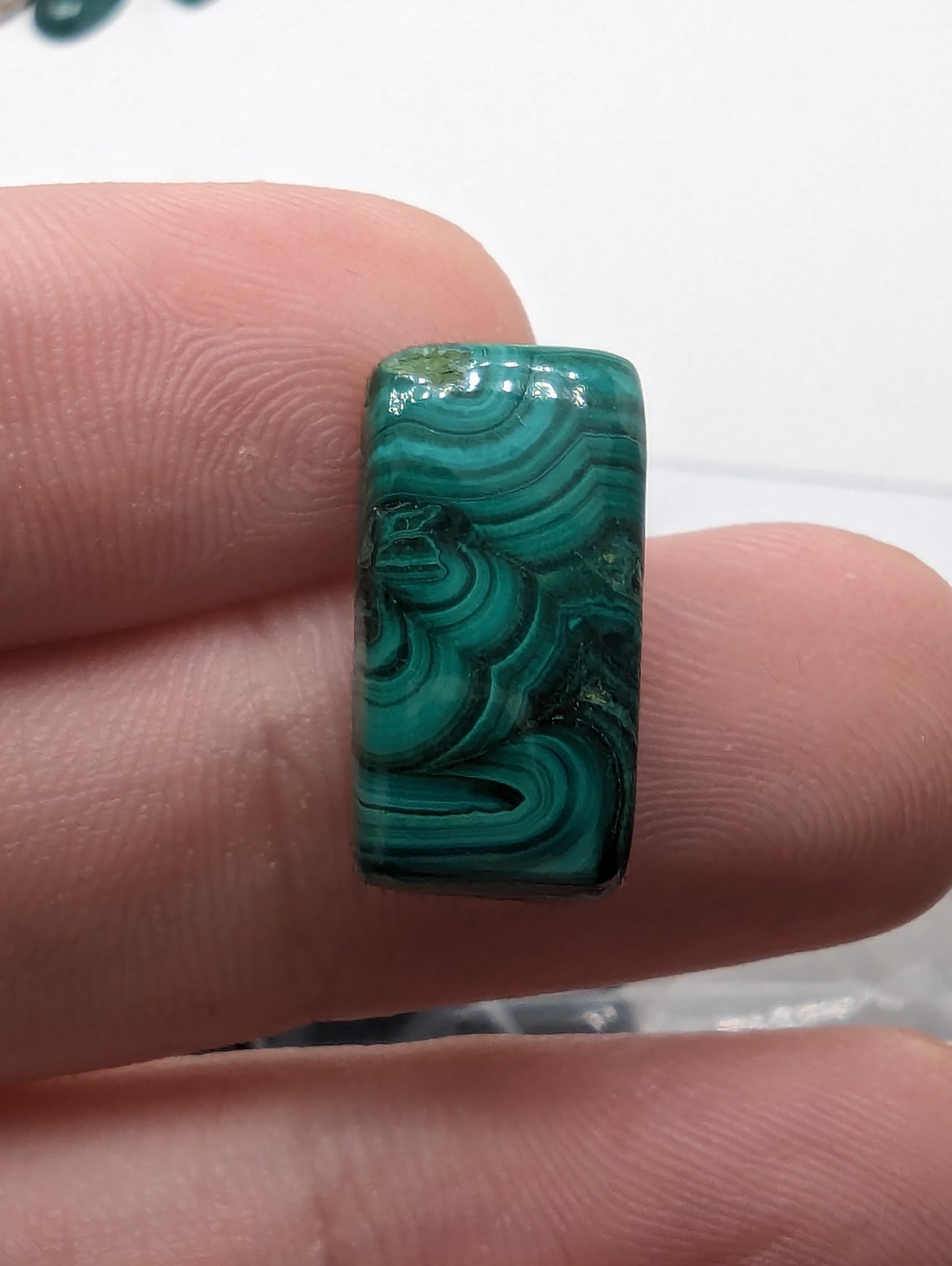 Malachite Cabochons
10pcs - 139.25cts(27.85g