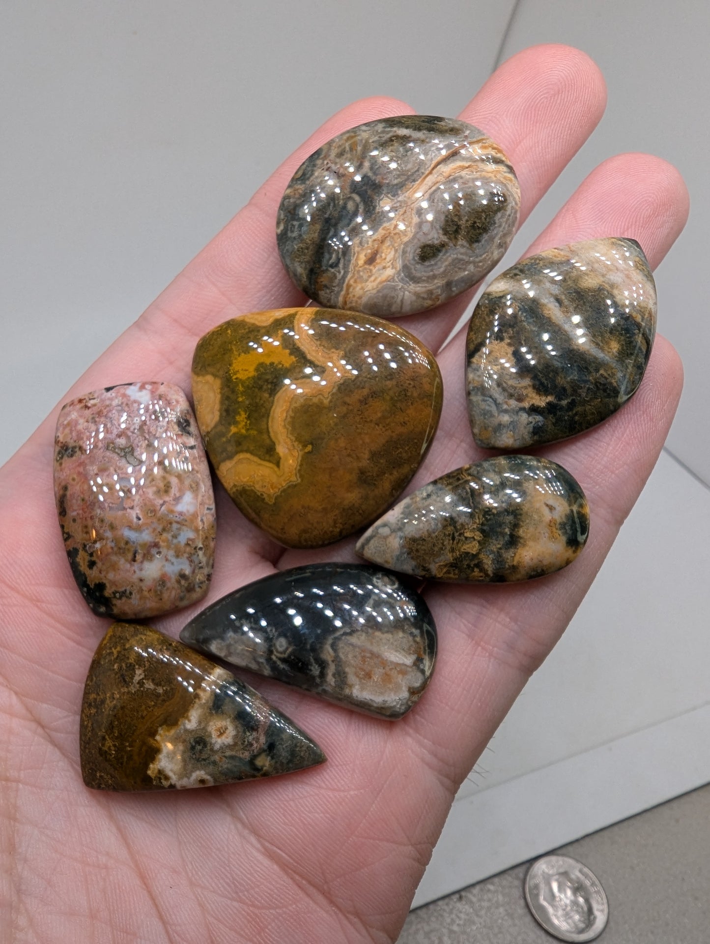 Ocean Jasper Cabochon Lot - 7pcs - 253.25cts(50.67g) - v49