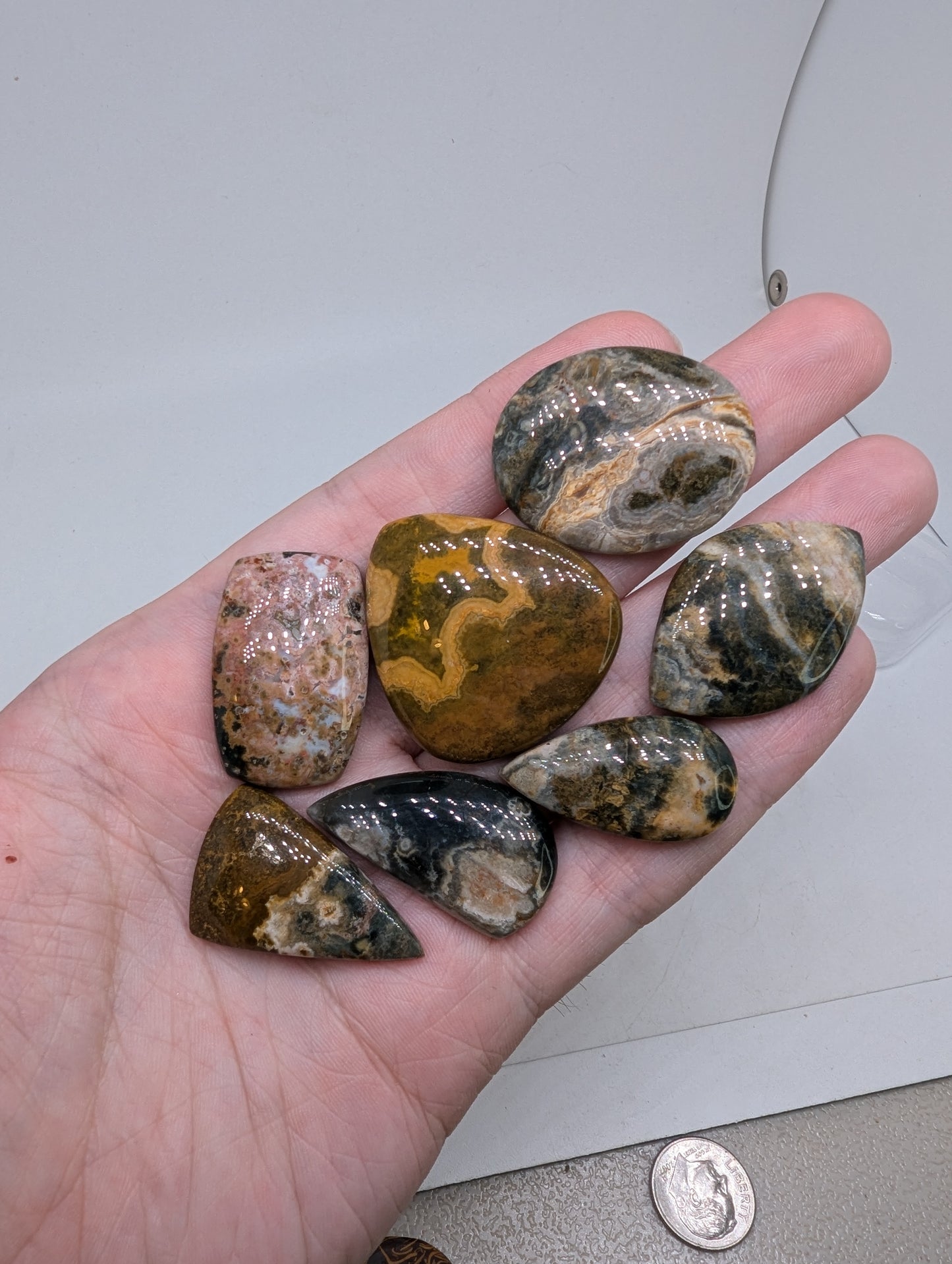 Ocean Jasper Cabochon Lot - 7pcs - 253.25cts(50.67g) - v49