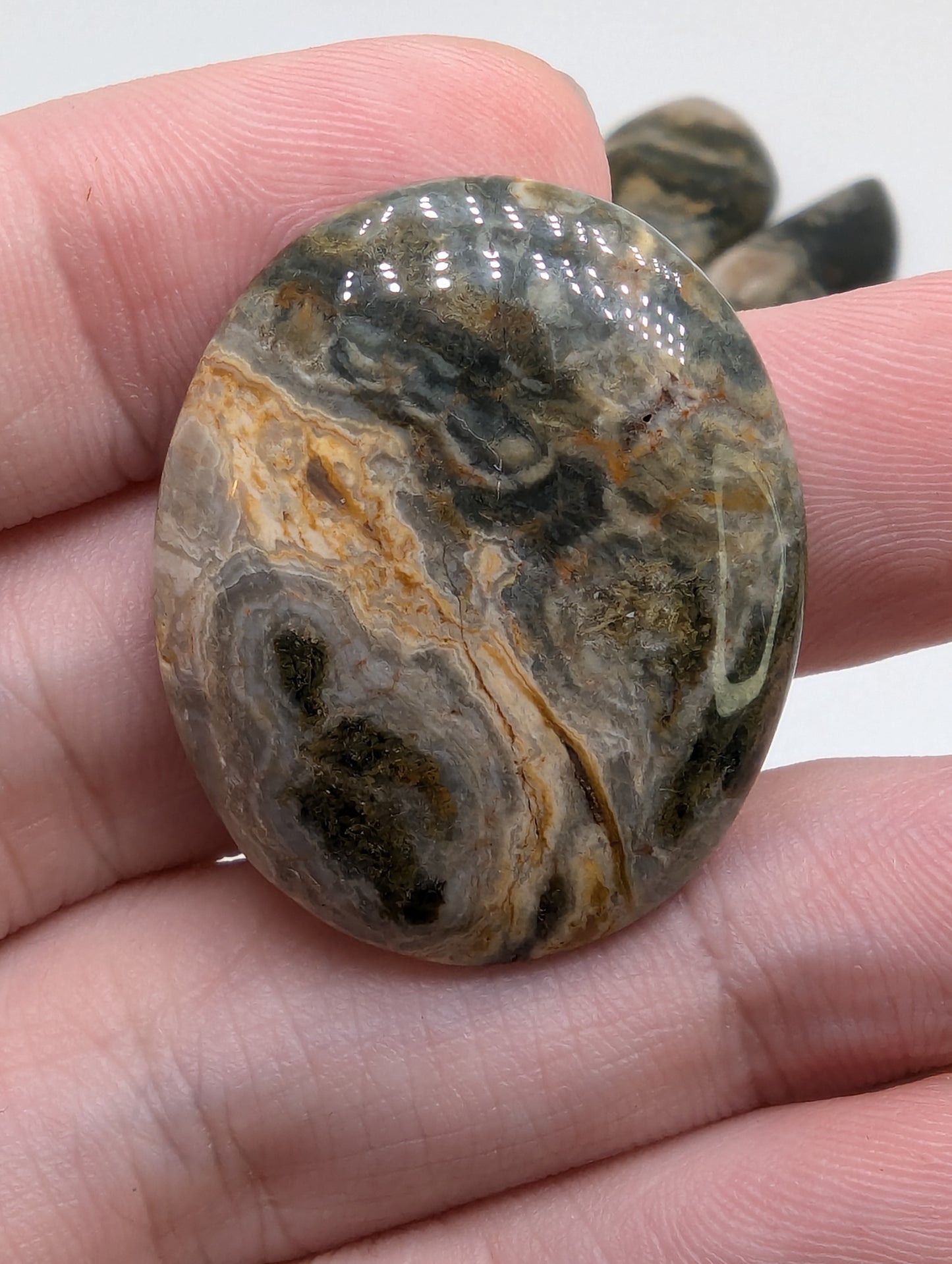 Ocean Jasper Cabochon Lot - 7pcs - 253.25cts(50.67g) - v49