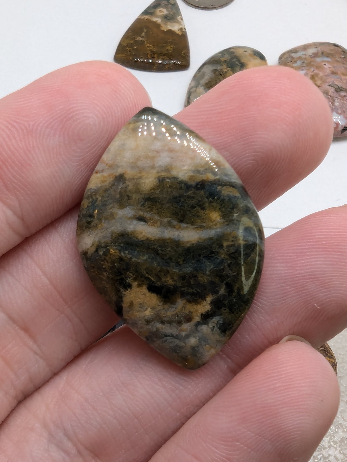 Ocean Jasper Cabochon Lot - 7pcs - 253.25cts(50.67g) - v49