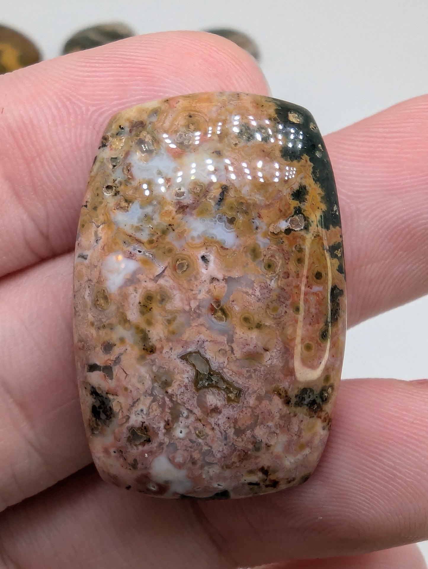 Ocean Jasper Cabochon Lot - 7pcs - 253.25cts(50.67g) - v49