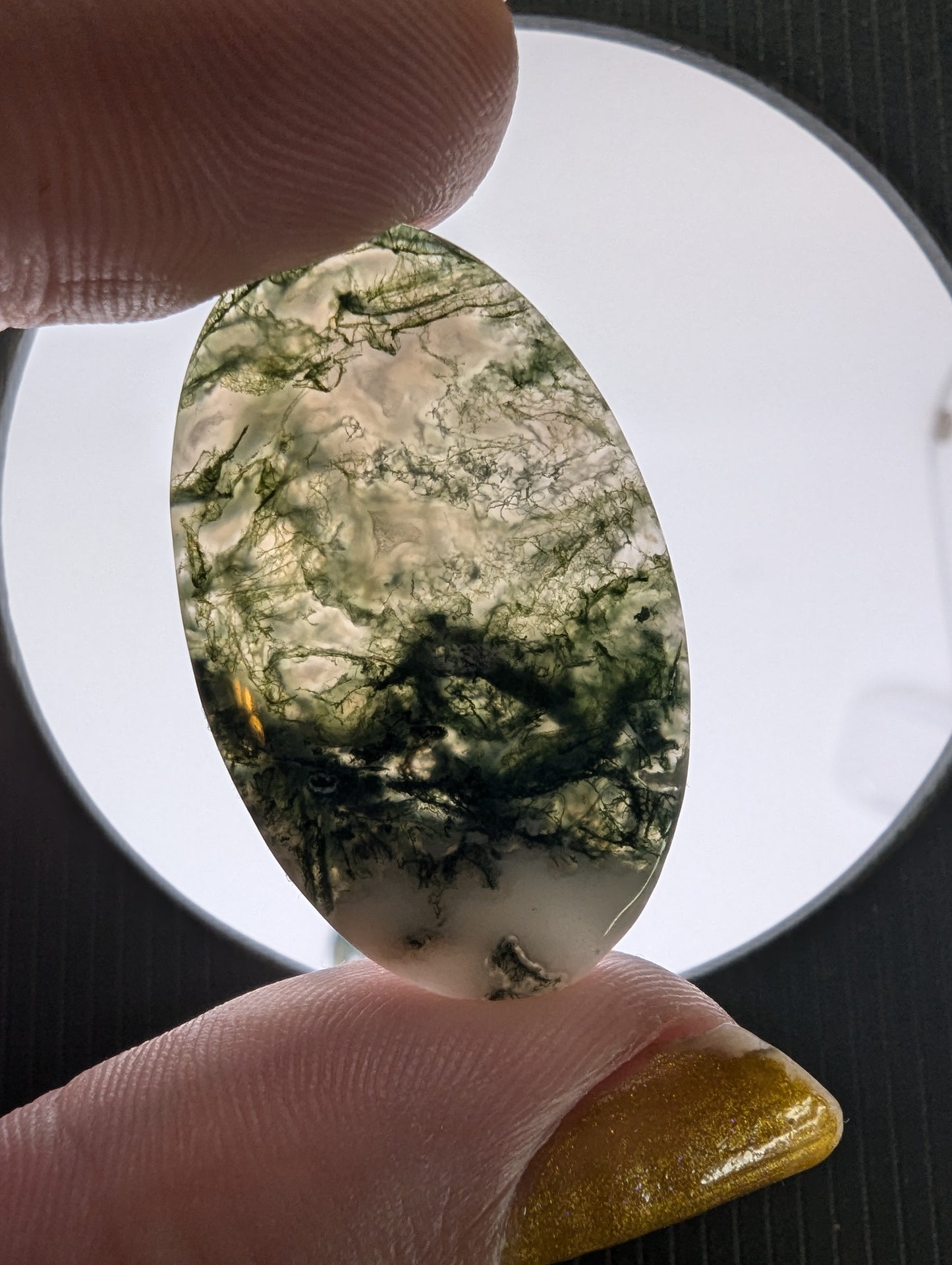 Moss Agate Cabochon Lot - 5pcs - 201.75cts(40.35g) - v50