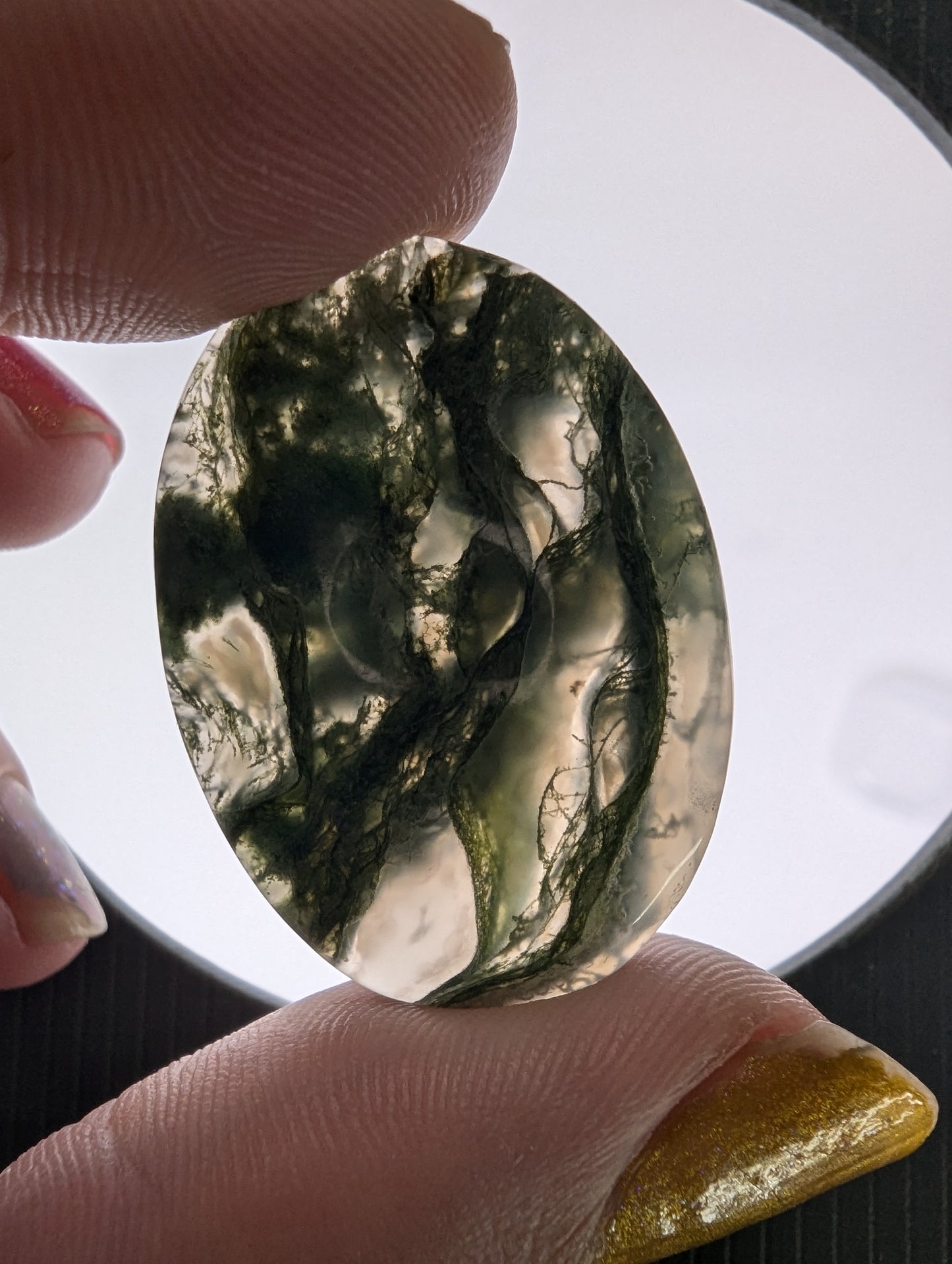 Moss Agate Cabochon Lot - 5pcs - 201.75cts(40.35g) - v50