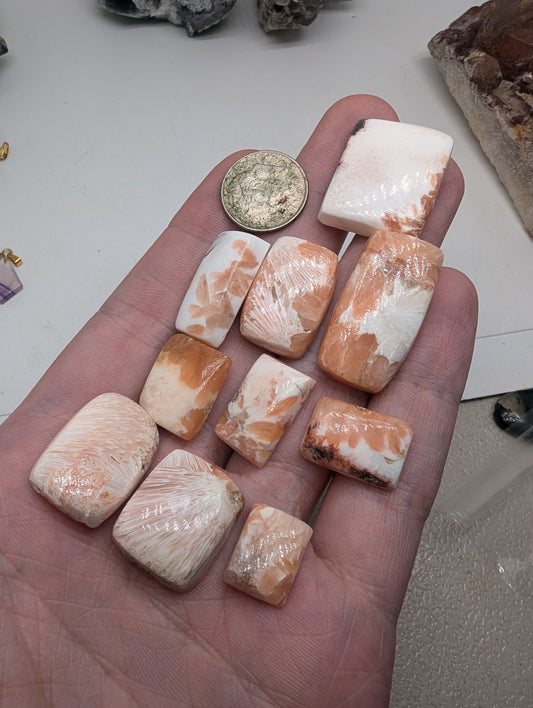 Pink Scolecite Cabochon Lot - 10pcs - Rectangles - 162.90cts(32.58g) - V66