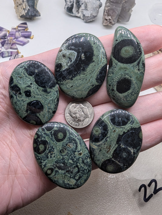 Kambaba Jasper Cabochon Lot - 5 pieces - Mixed Shape - 270.60cts(54.14g) - V67