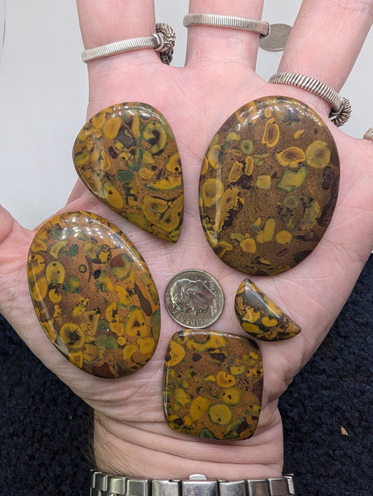 Fruit Jasper Cabochons - 5pcs - 234.4cts(46.88g) - F1