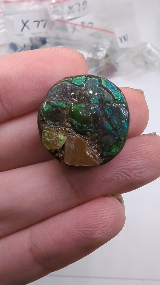 Ammolite Round Cabochon - 42.65cts(8.53g) - 21mm