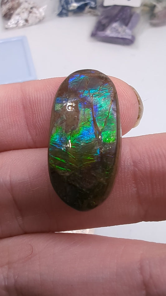 Ammolite Oval Cabochon - 19.75cts(3.95g) - Bright green flash