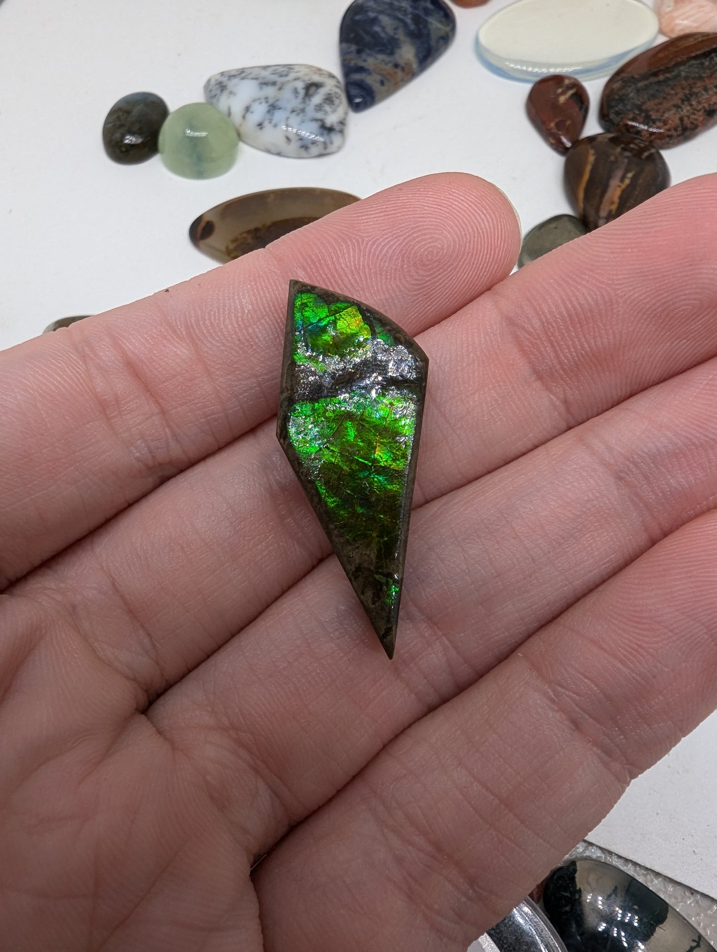 Ammolite Cabochon - Green Flash - 28.8cts(5.7g) - 37*16*8mm - USA! - U49