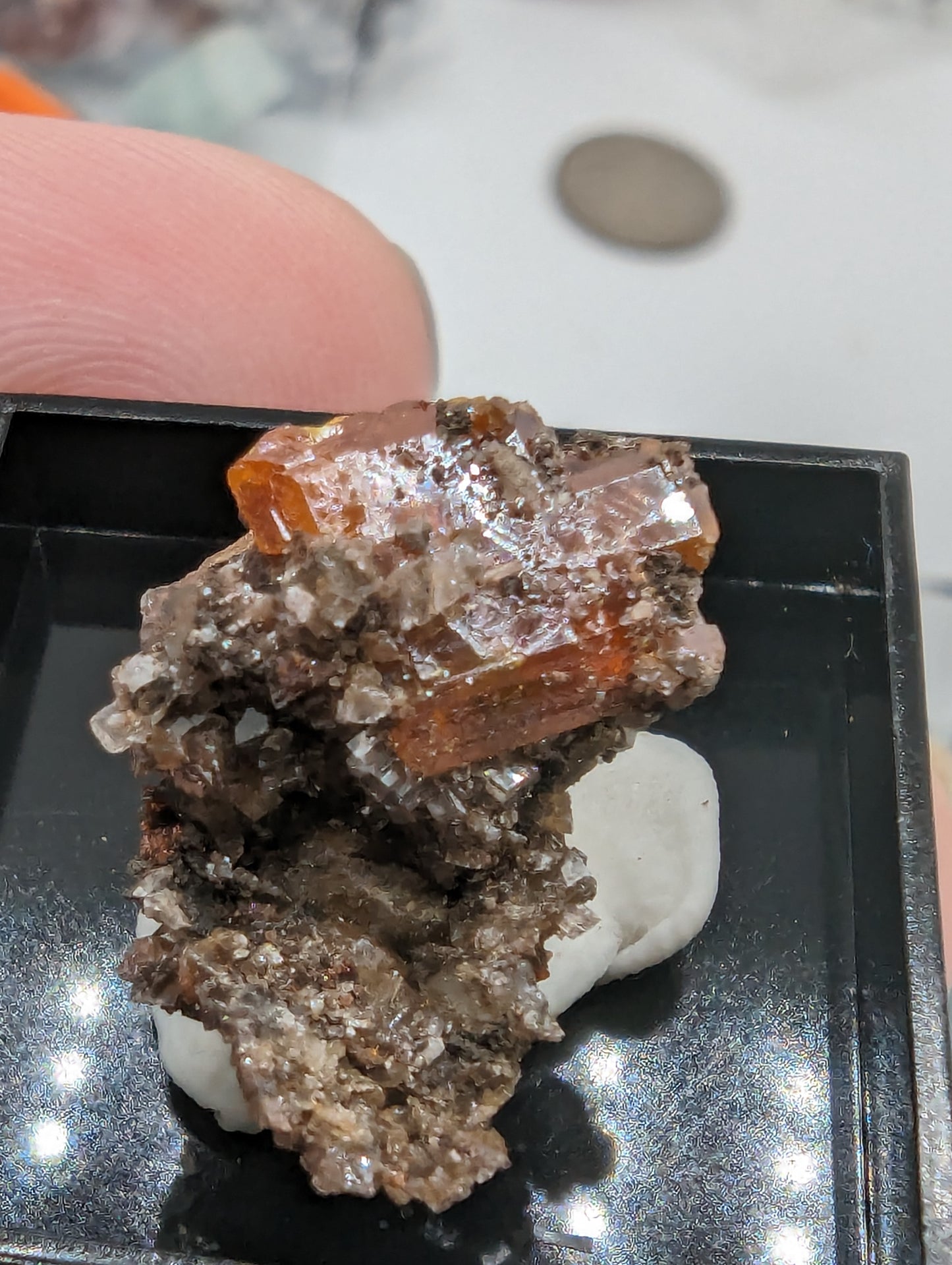 Wulfenite Thumbnail Specimens - In Display Cases - Red Sky Mine