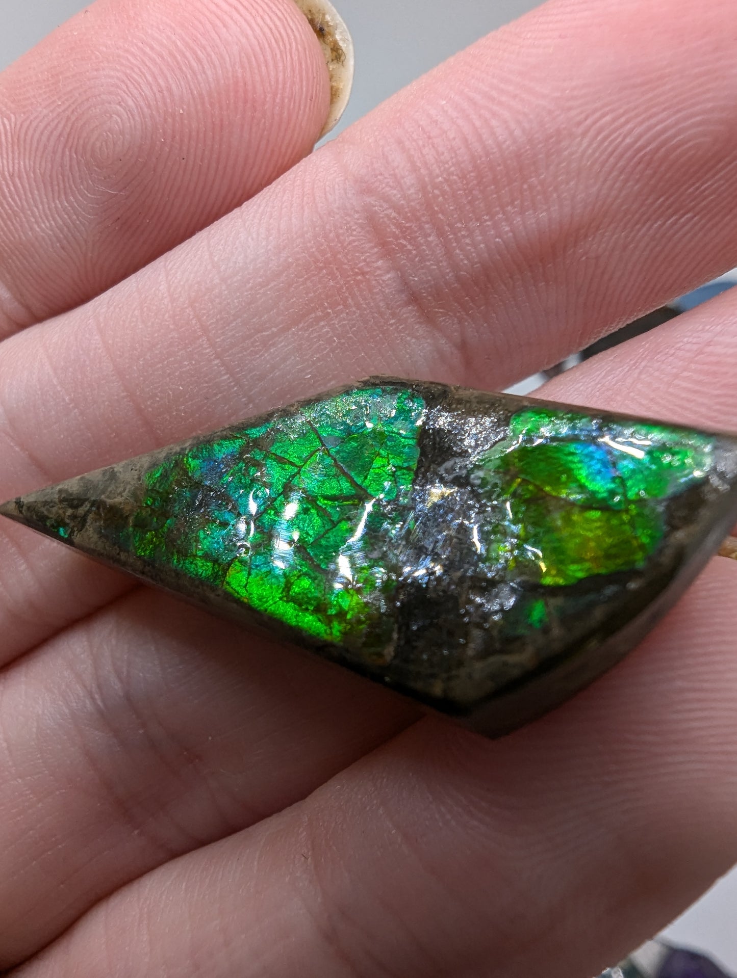 Ammolite Cabochon - Green Flash - 28.8cts(5.7g) - 37*16*8mm - USA! - U49