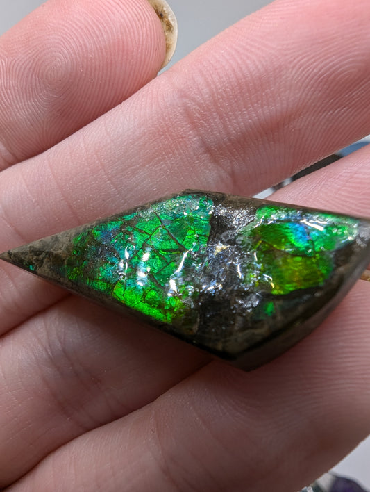 Ammolite Cabochon - Green Flash - 28.8cts(5.7g) - 37*16*8mm - USA! - U49