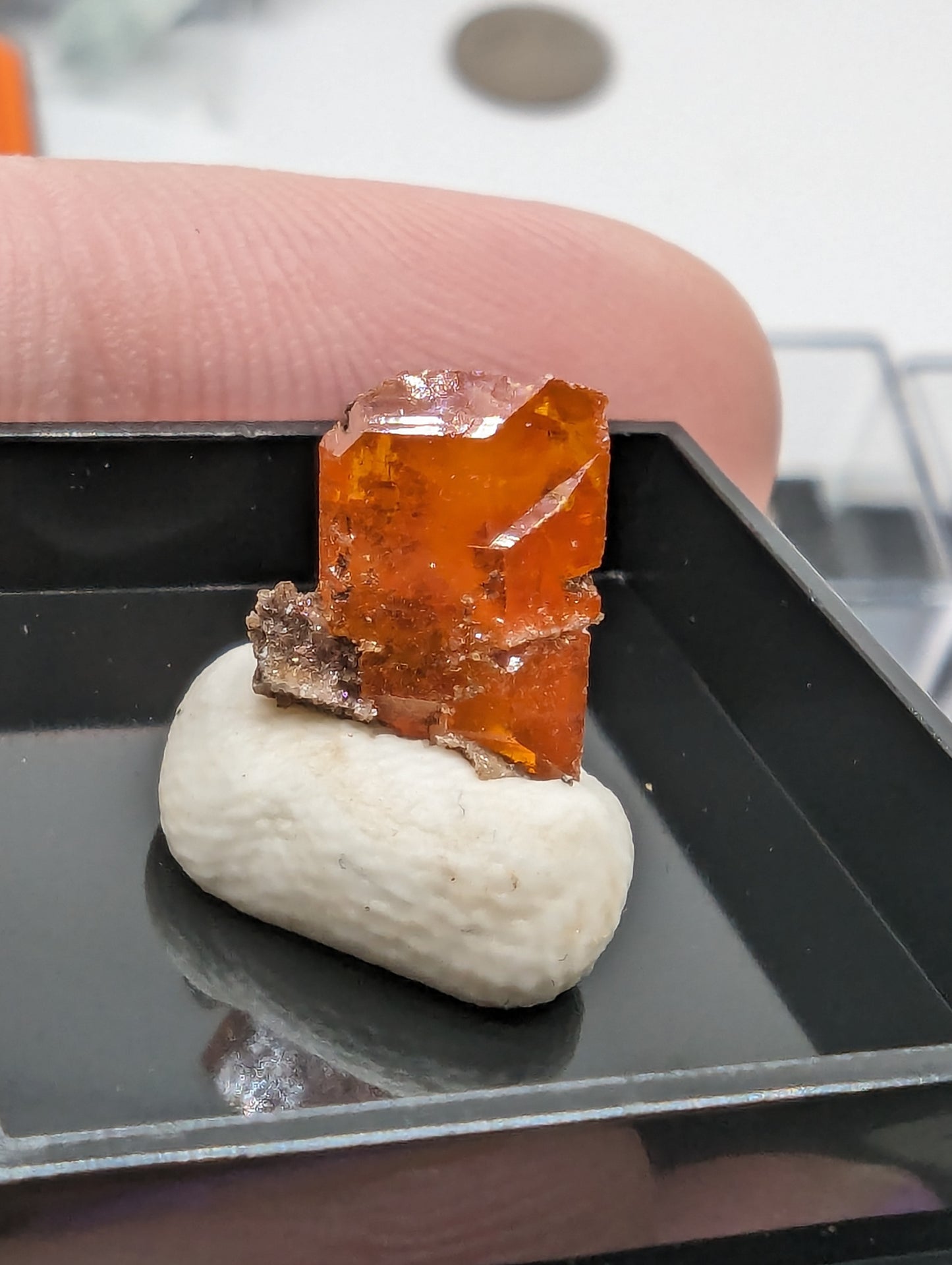 Wulfenite Thumbnail Specimens - In Display Cases - Red Sky Mine