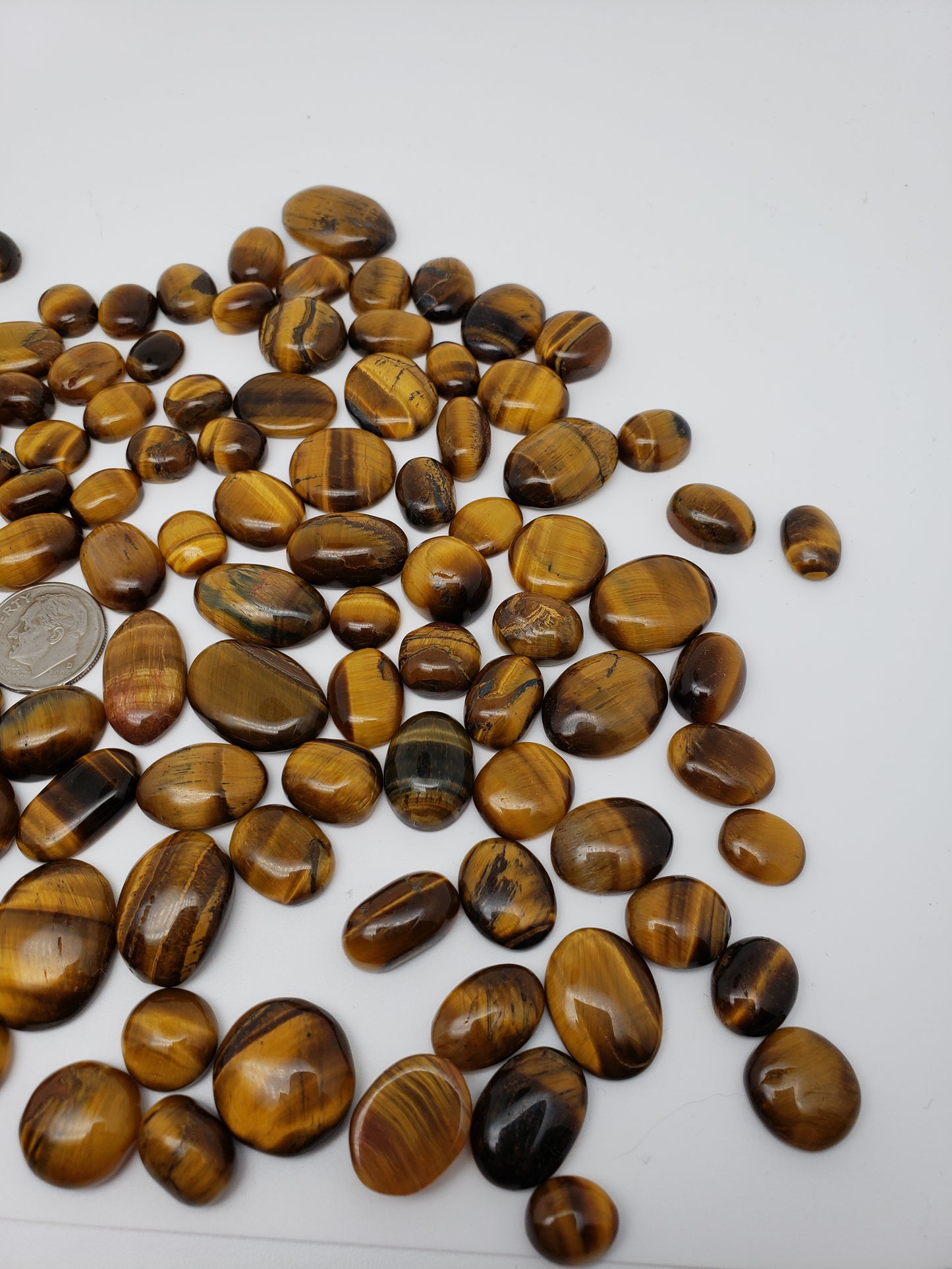 Tigers Eye Cabs - 10-25mm - All Flashy - Wholesale Jewelry Supply