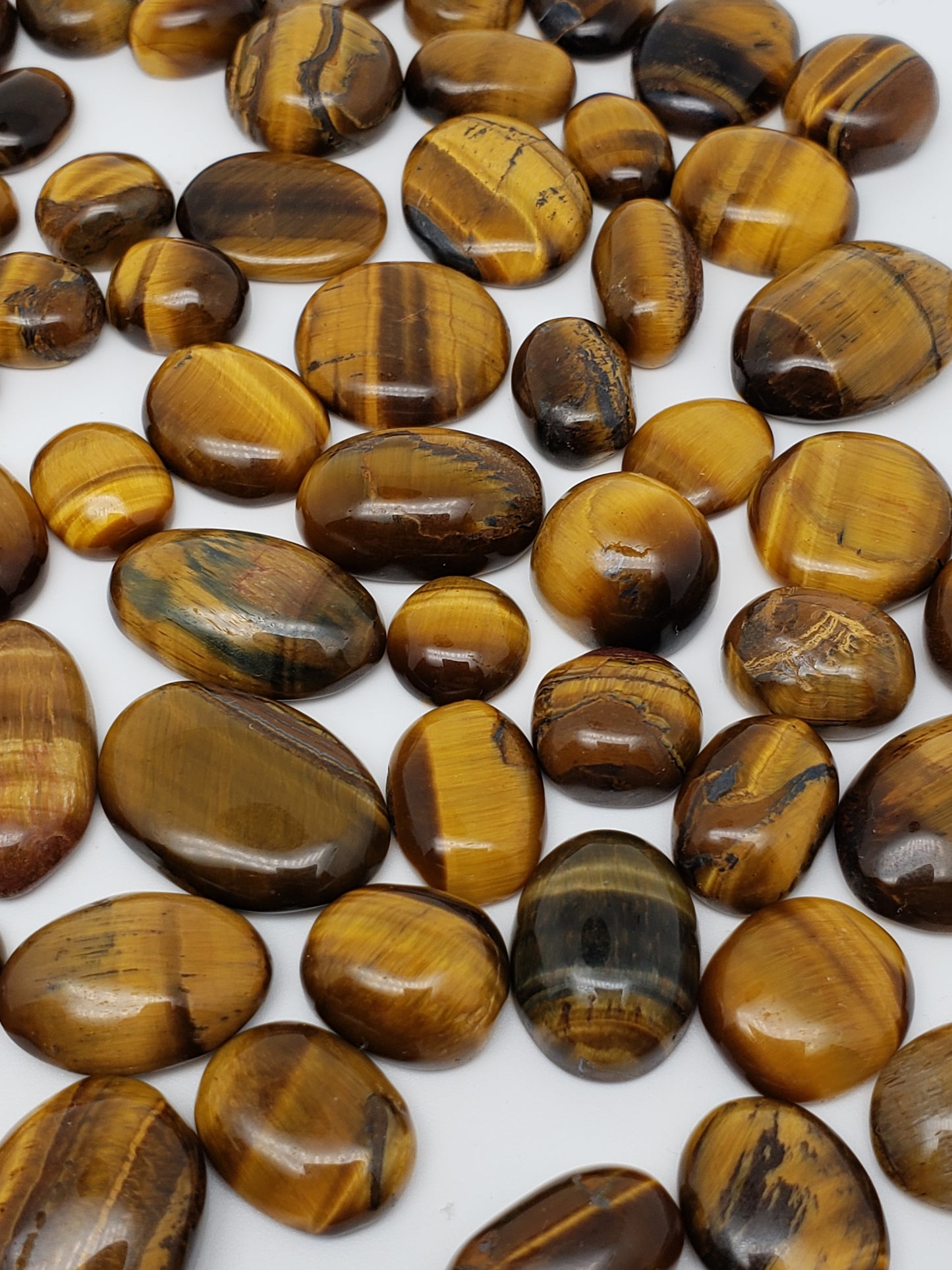 Tigers Eye Cabs - 10-25mm - All Flashy - Wholesale Jewelry Supply