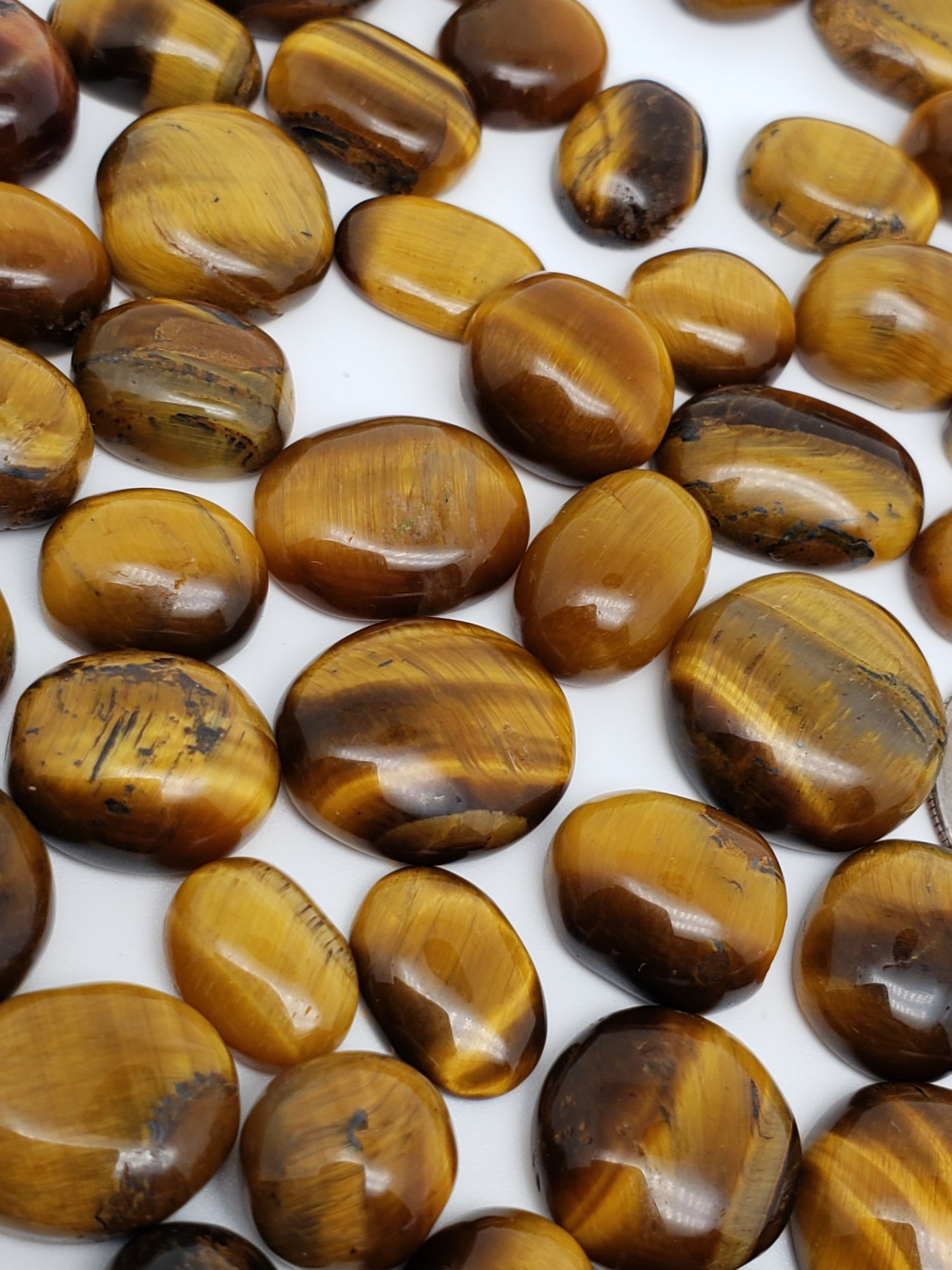 Tigers Eye Cabs - 10-25mm - All Flashy - Wholesale Jewelry Supply