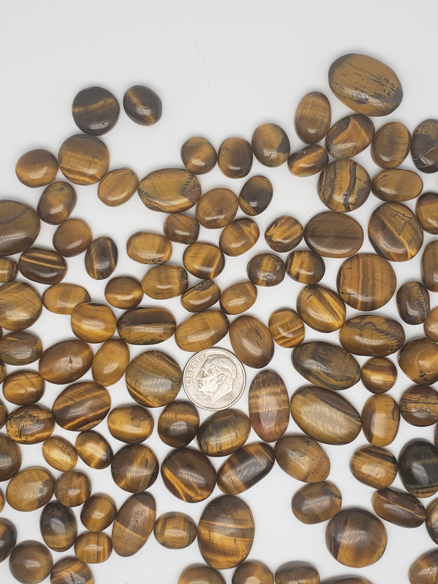 Tigers Eye Cabs - 10-25mm - All Flashy - Wholesale Jewelry Supply