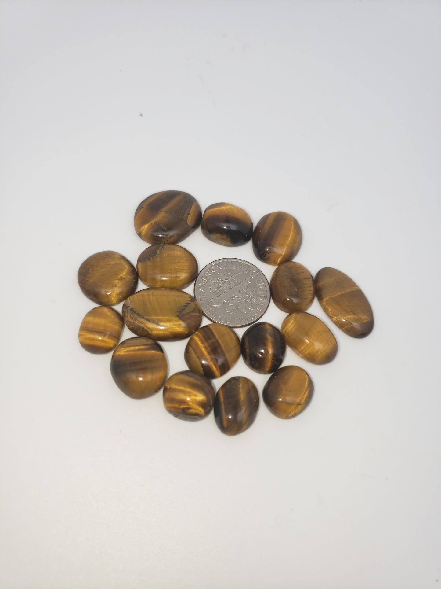 Tigers Eye Cabs - 10-25mm - All Flashy - Wholesale Jewelry Supply