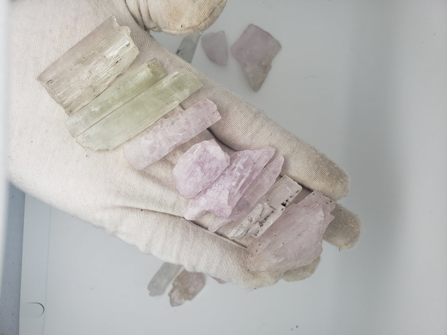 Kunzite Raw Crystal Shards - Large size