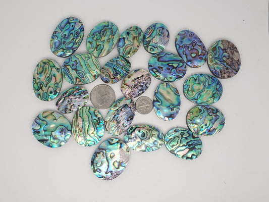 Abalone Cabochons - Large Ovals