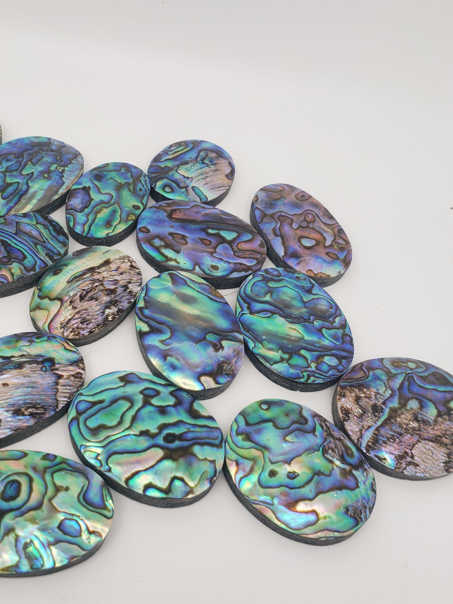 Abalone Cabochons - Large Ovals