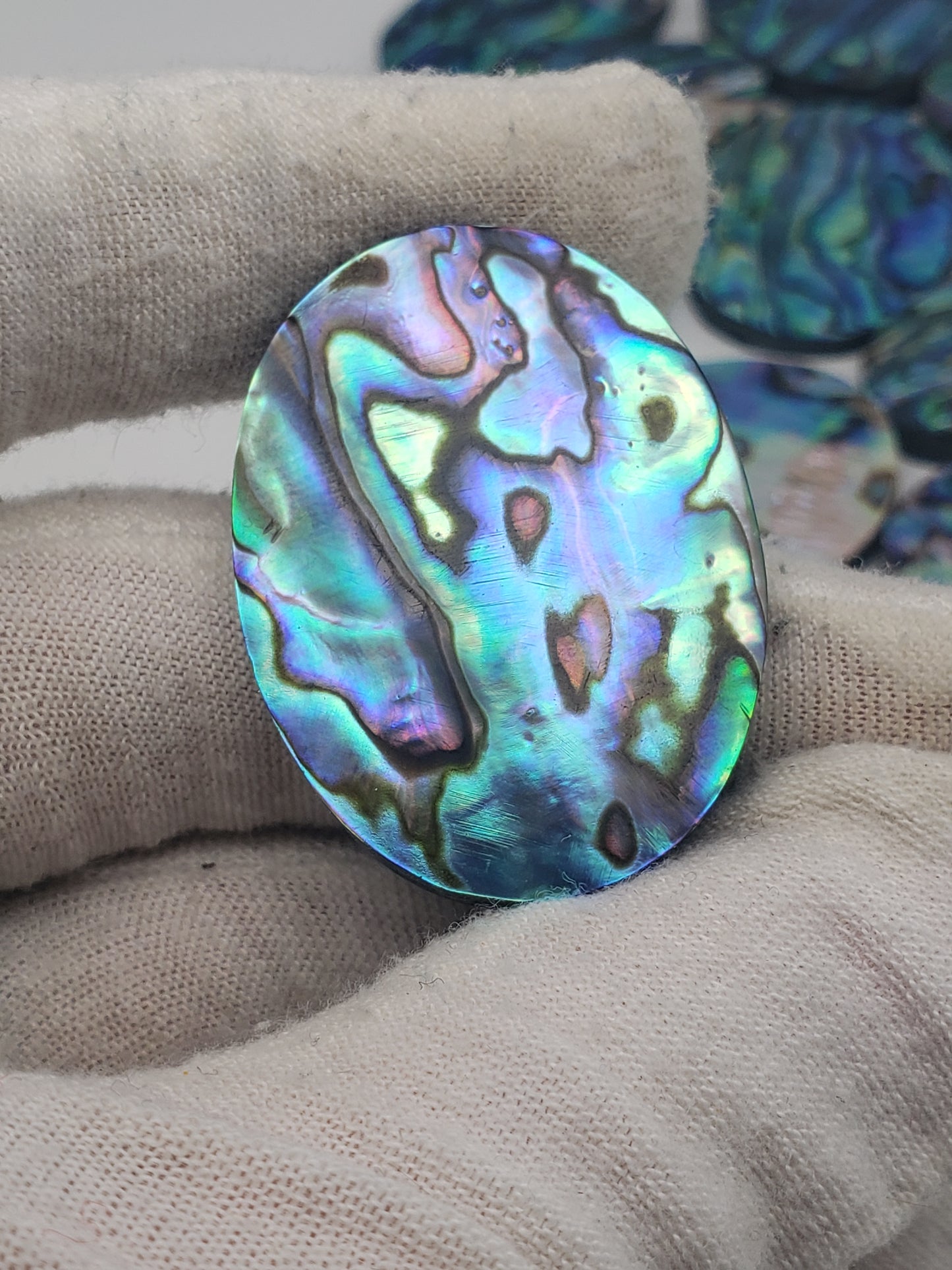 Abalone Cabochons - Large Ovals