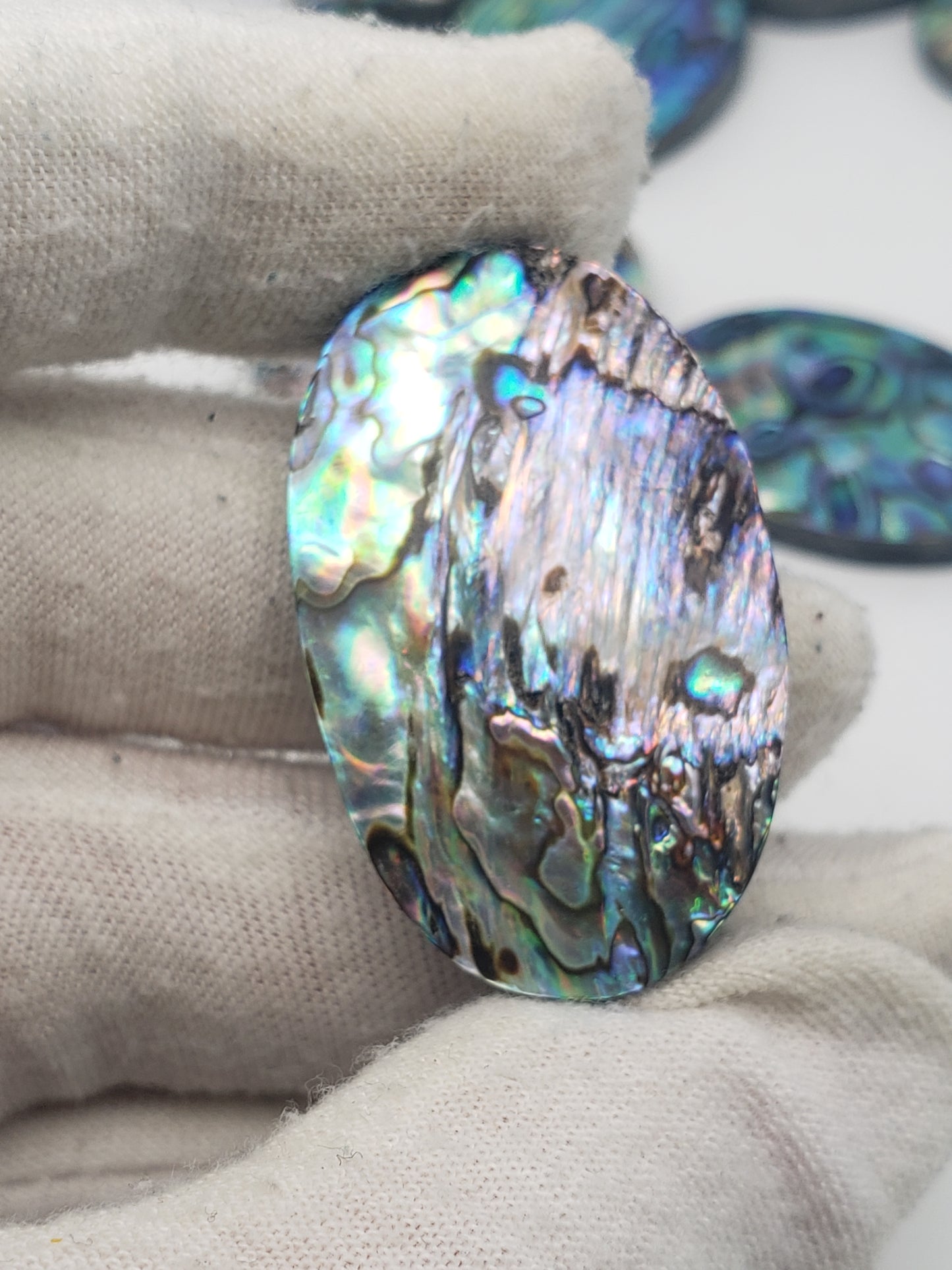 Abalone Cabochons - Large Ovals