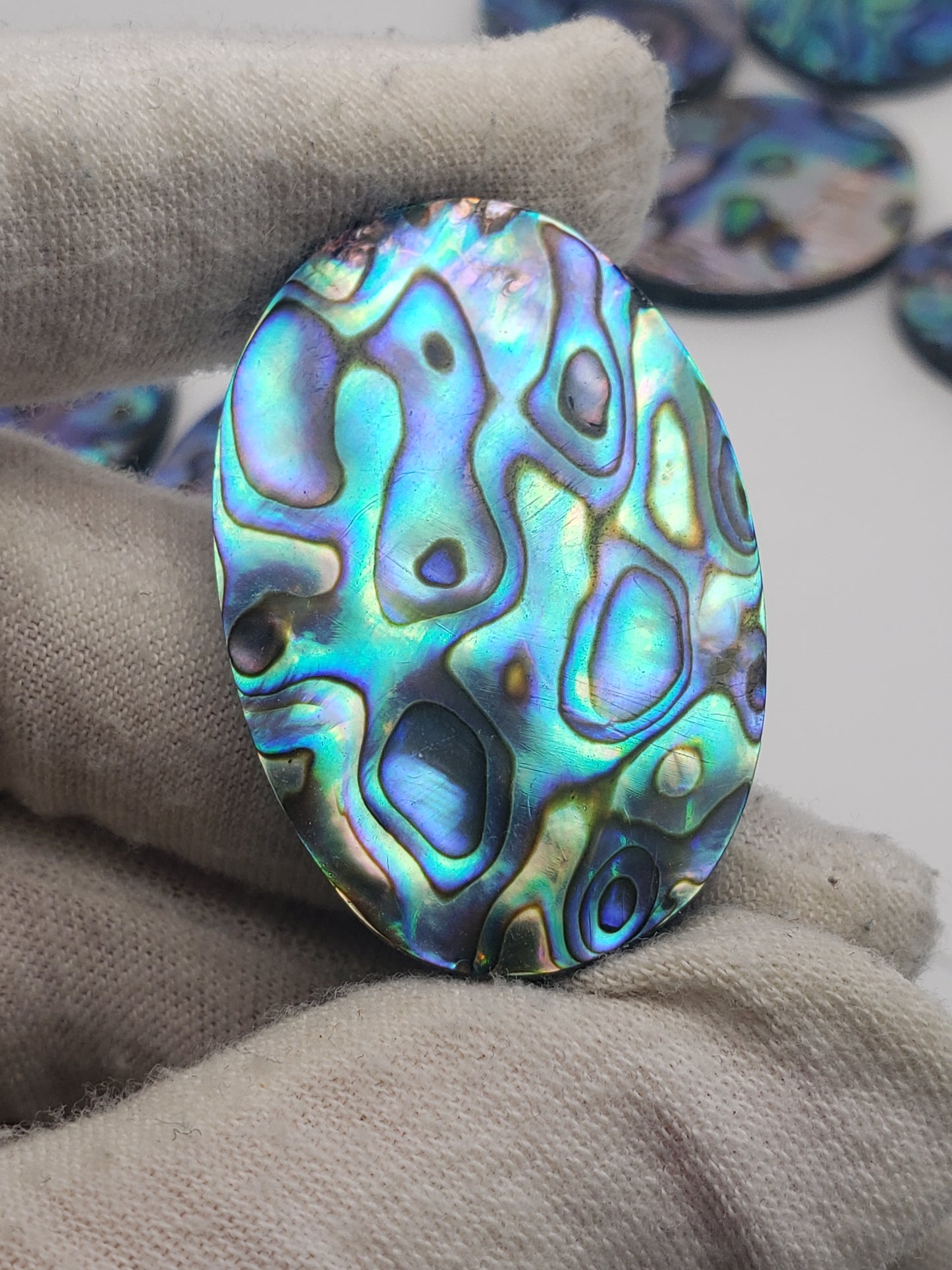 Abalone Cabochons - Large Ovals