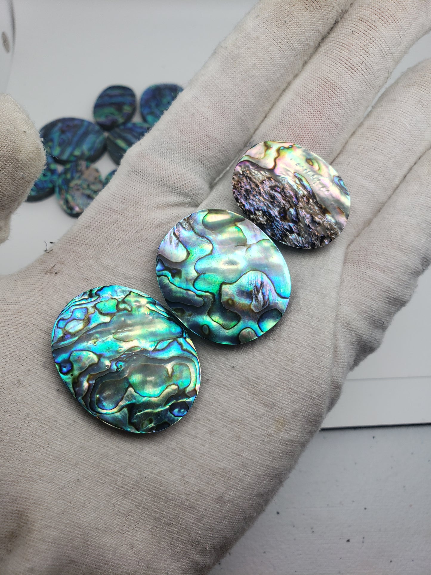 Abalone Cabochons - Large Ovals