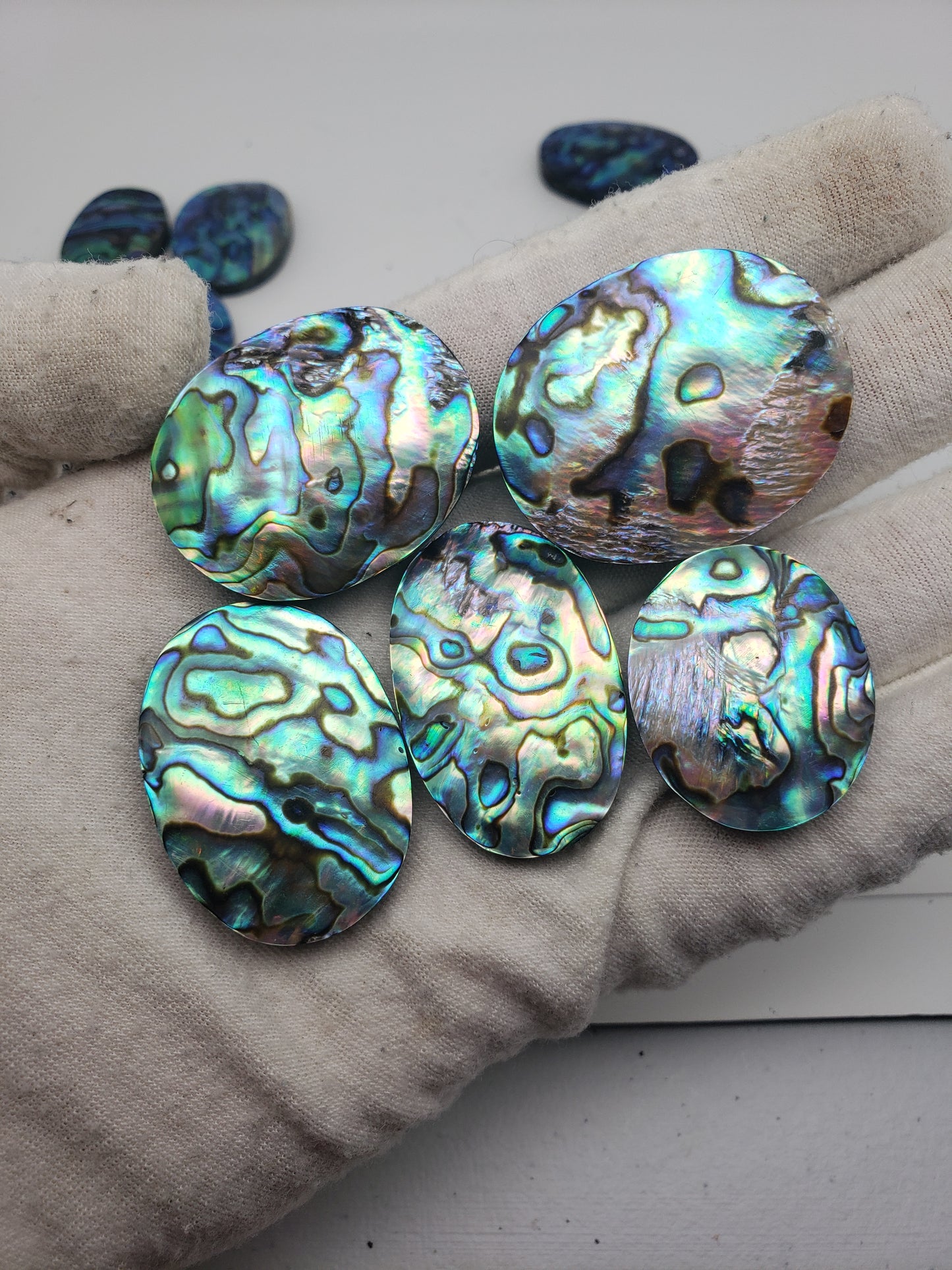 Abalone Cabochons - Large Ovals