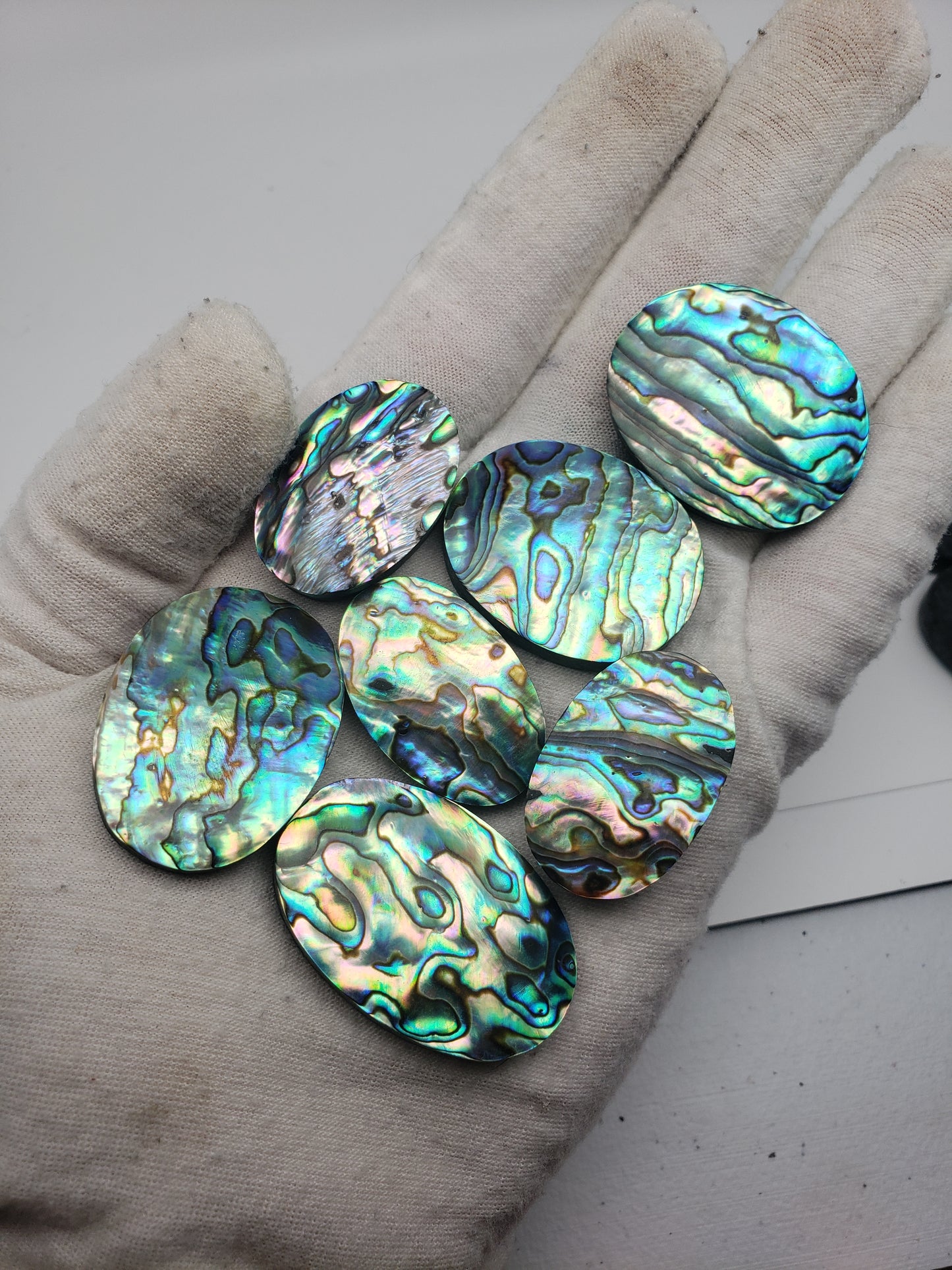 Abalone Cabochons - Large Ovals